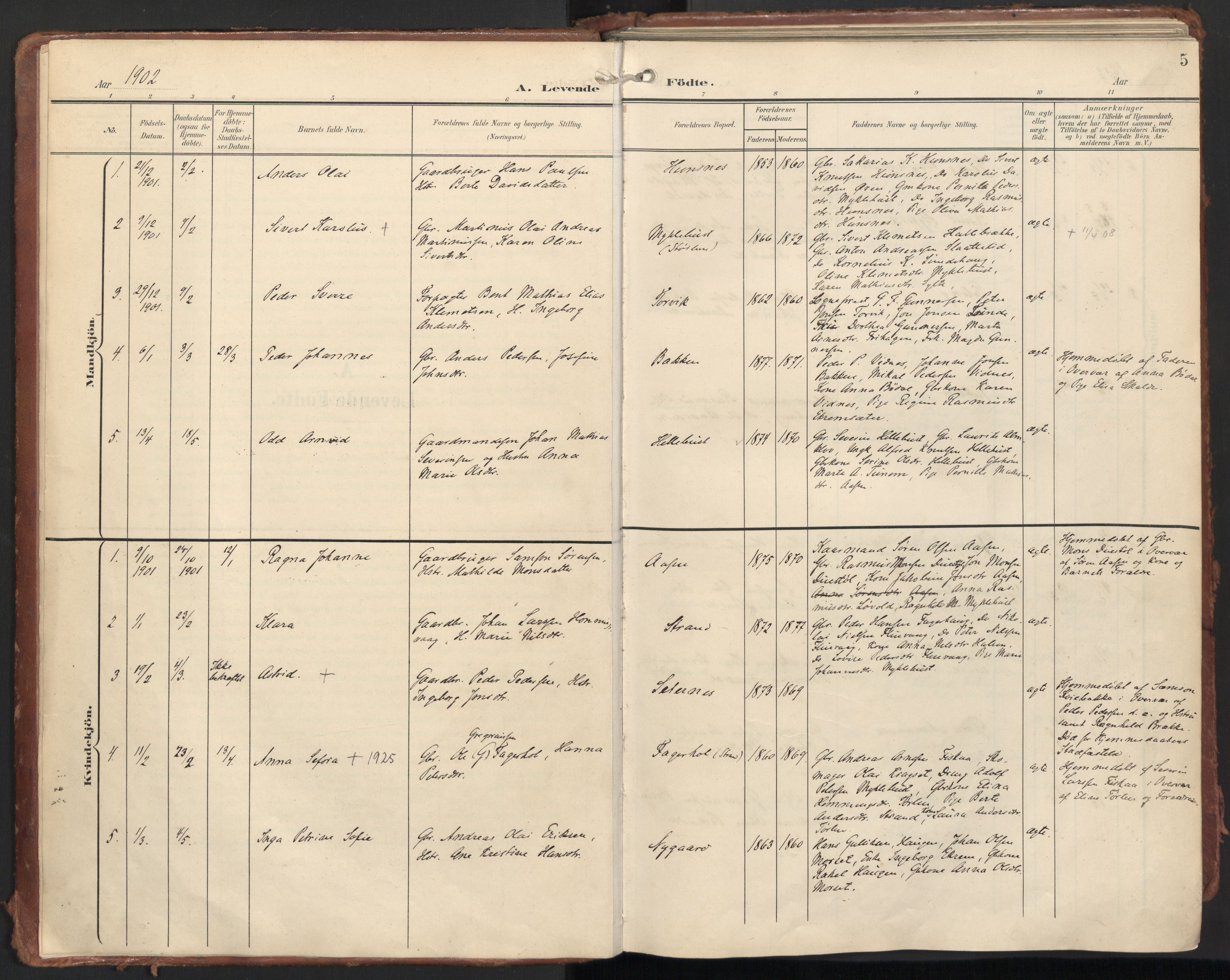 Ministerialprotokoller, klokkerbøker og fødselsregistre - Møre og Romsdal, AV/SAT-A-1454/501/L0011: Ministerialbok nr. 501A11, 1902-1919, s. 5