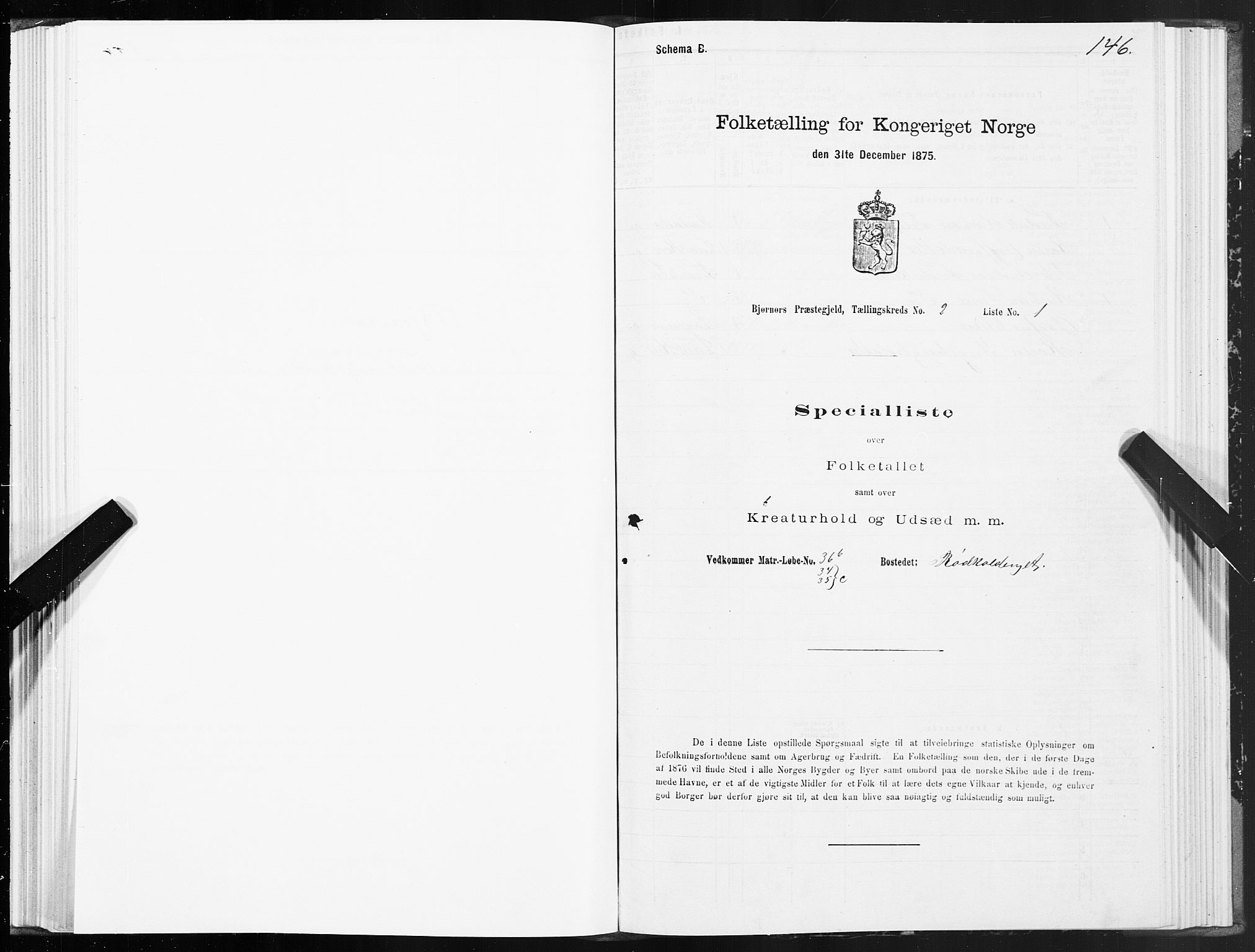 SAT, Folketelling 1875 for 1632P Bjørnør prestegjeld, 1875, s. 1146