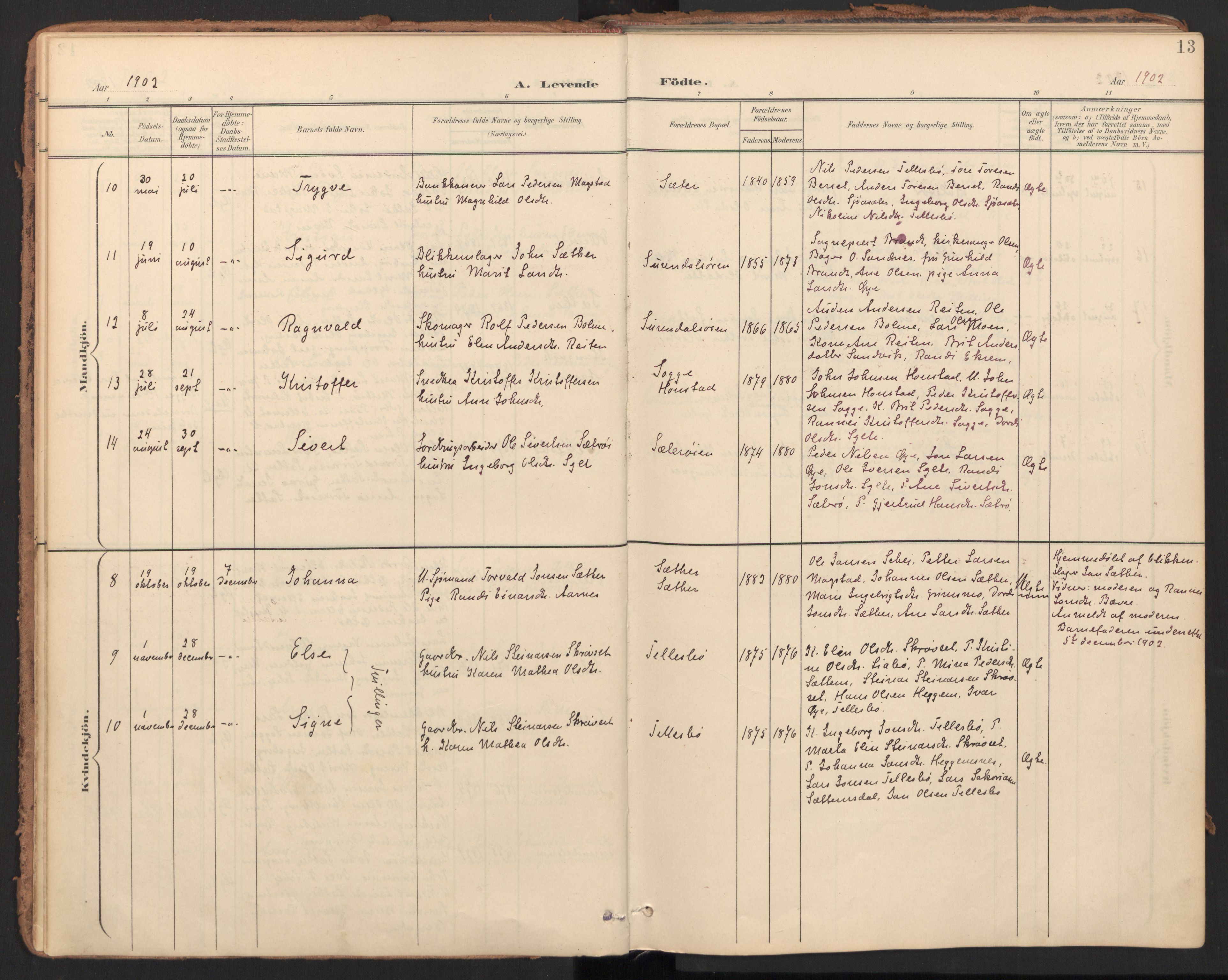 Ministerialprotokoller, klokkerbøker og fødselsregistre - Møre og Romsdal, AV/SAT-A-1454/596/L1057: Ministerialbok nr. 596A02, 1900-1917, s. 13