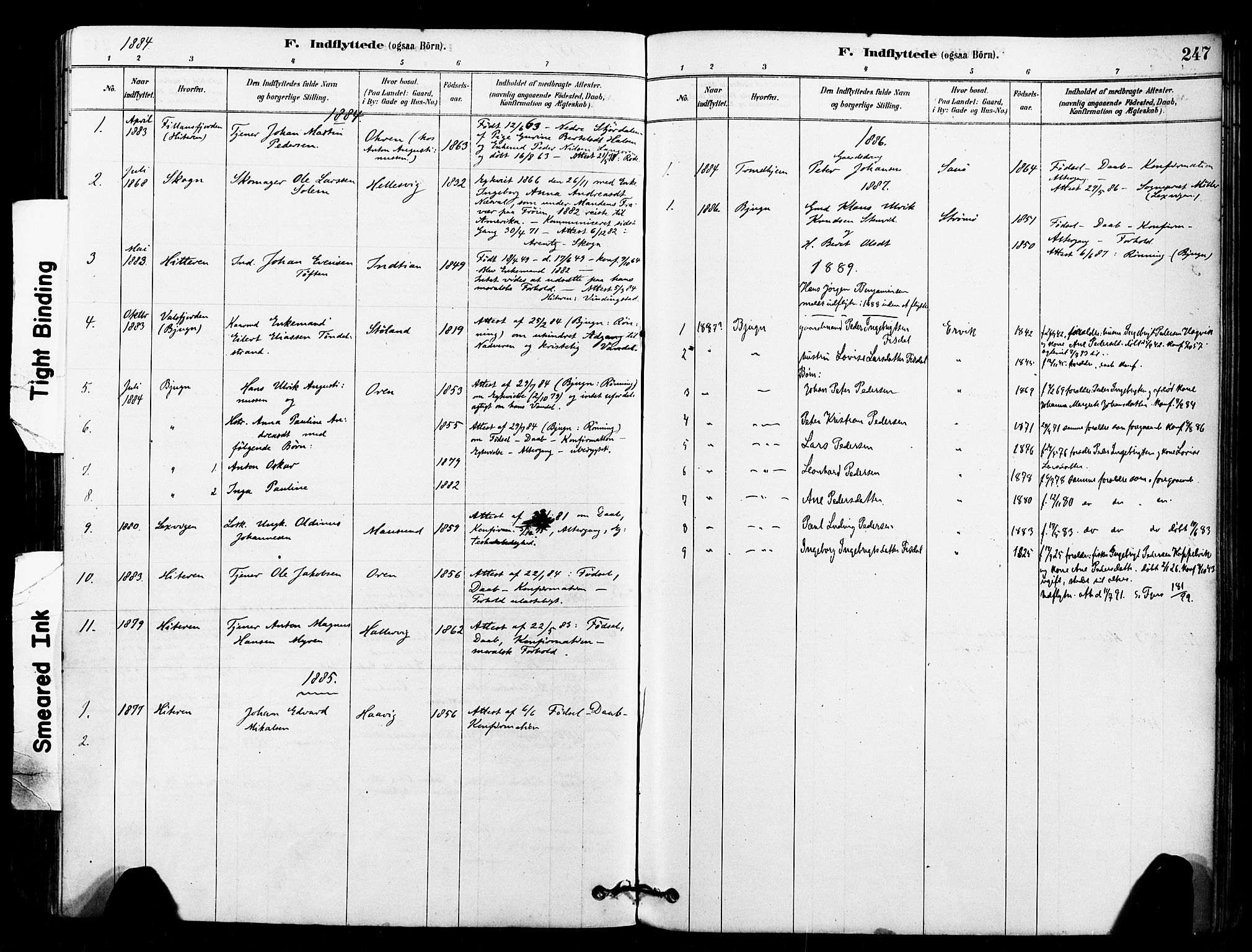 Ministerialprotokoller, klokkerbøker og fødselsregistre - Sør-Trøndelag, AV/SAT-A-1456/640/L0578: Ministerialbok nr. 640A03, 1879-1889, s. 247