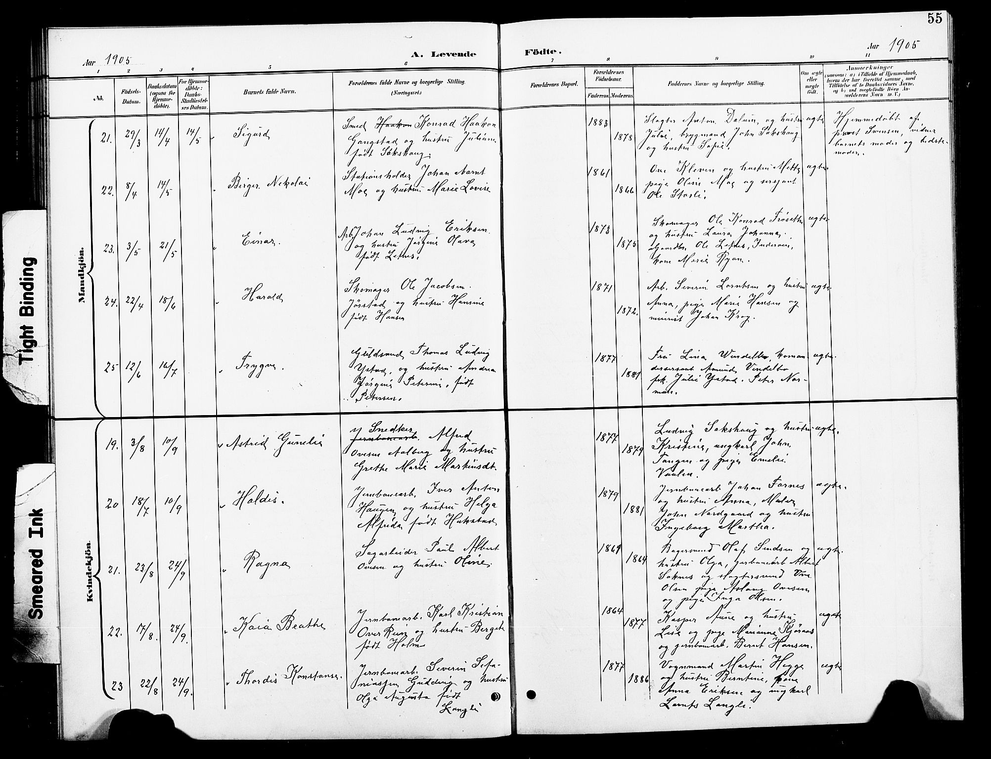 Ministerialprotokoller, klokkerbøker og fødselsregistre - Nord-Trøndelag, AV/SAT-A-1458/739/L0375: Klokkerbok nr. 739C03, 1898-1908, s. 55