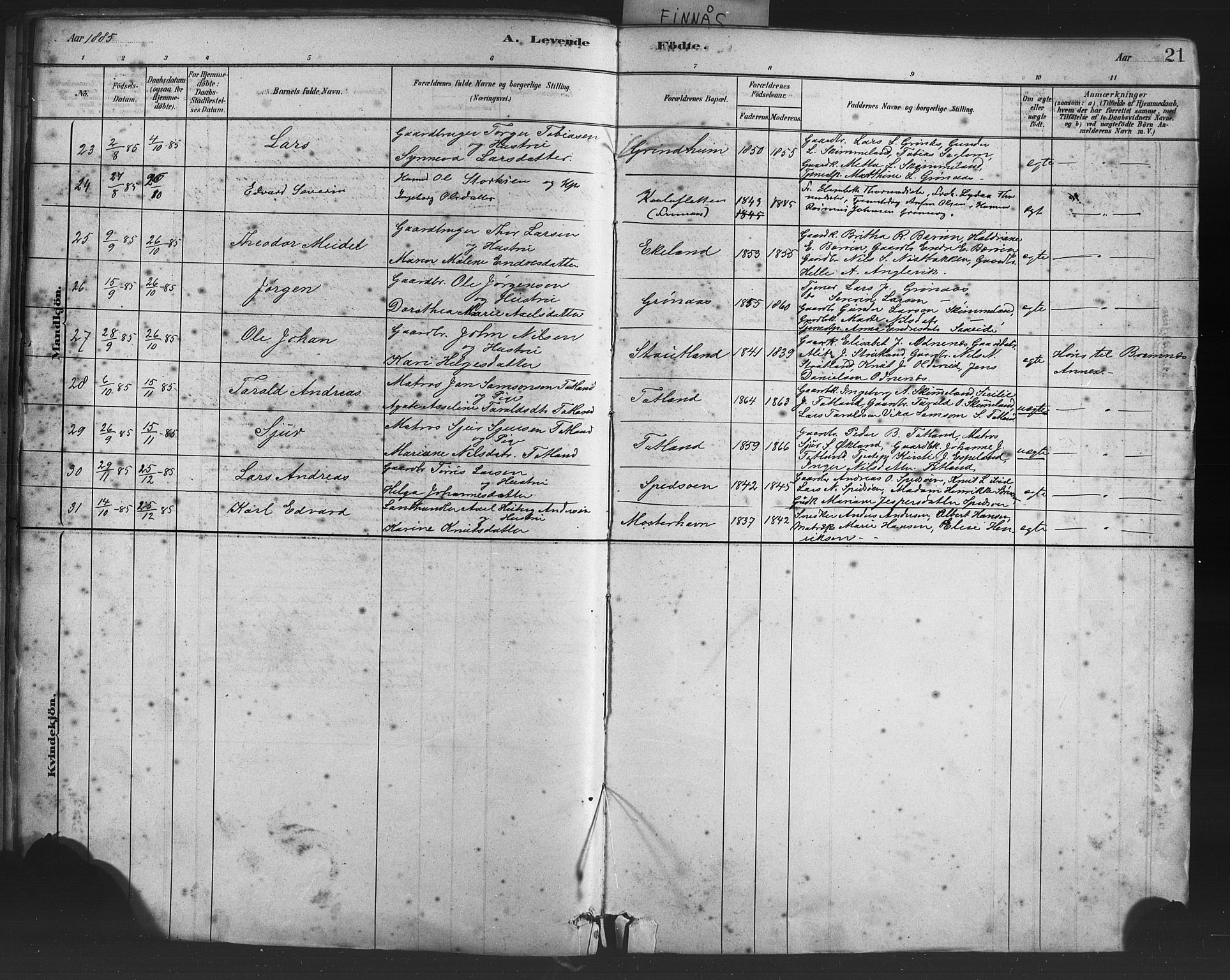 Finnås sokneprestembete, AV/SAB-A-99925/H/Ha/Haa/Haab/L0001: Ministerialbok nr. B 1, 1881-1894, s. 21