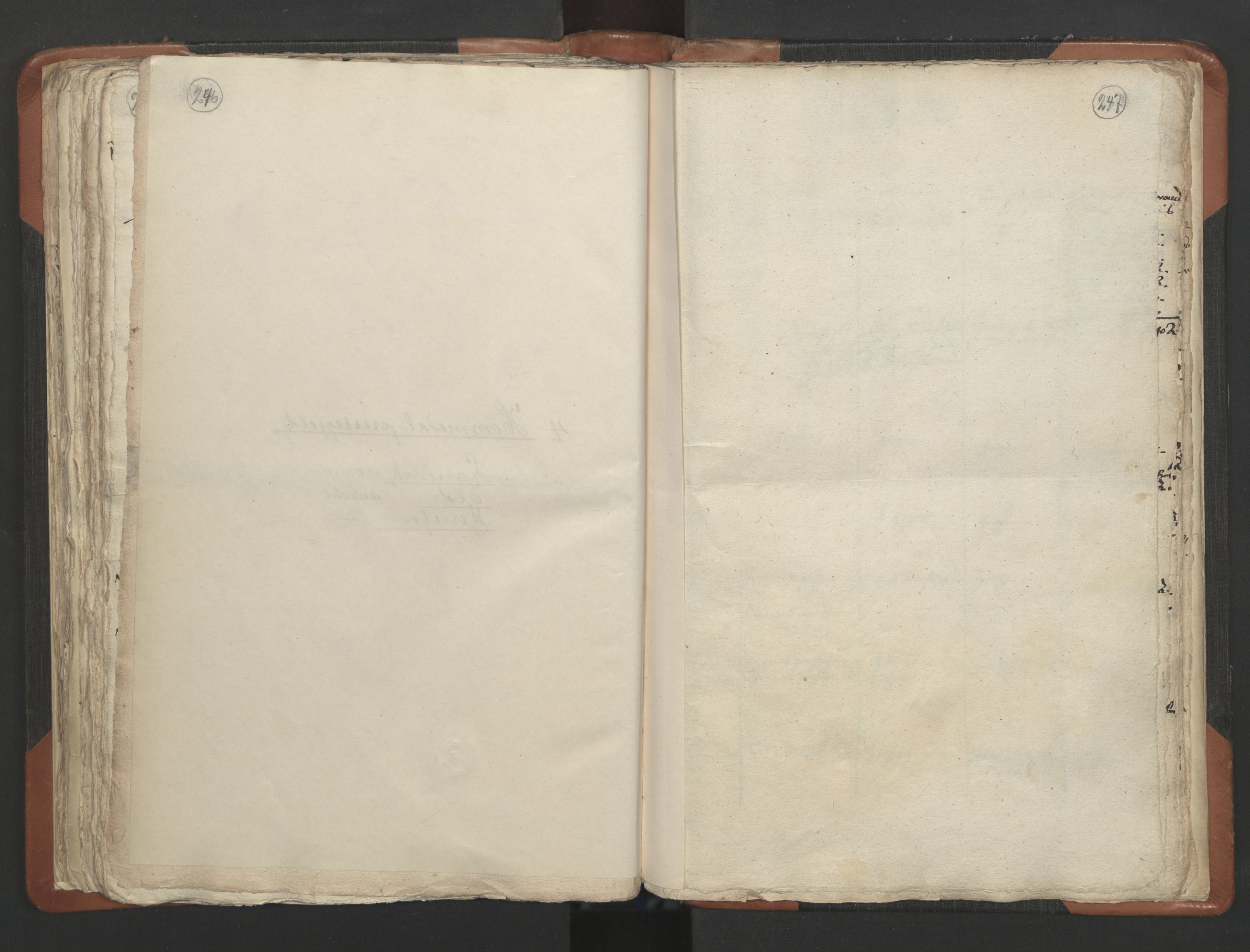 RA, Sogneprestenes manntall 1664-1666, nr. 13: Nedenes prosti, 1664-1666, s. 246-247