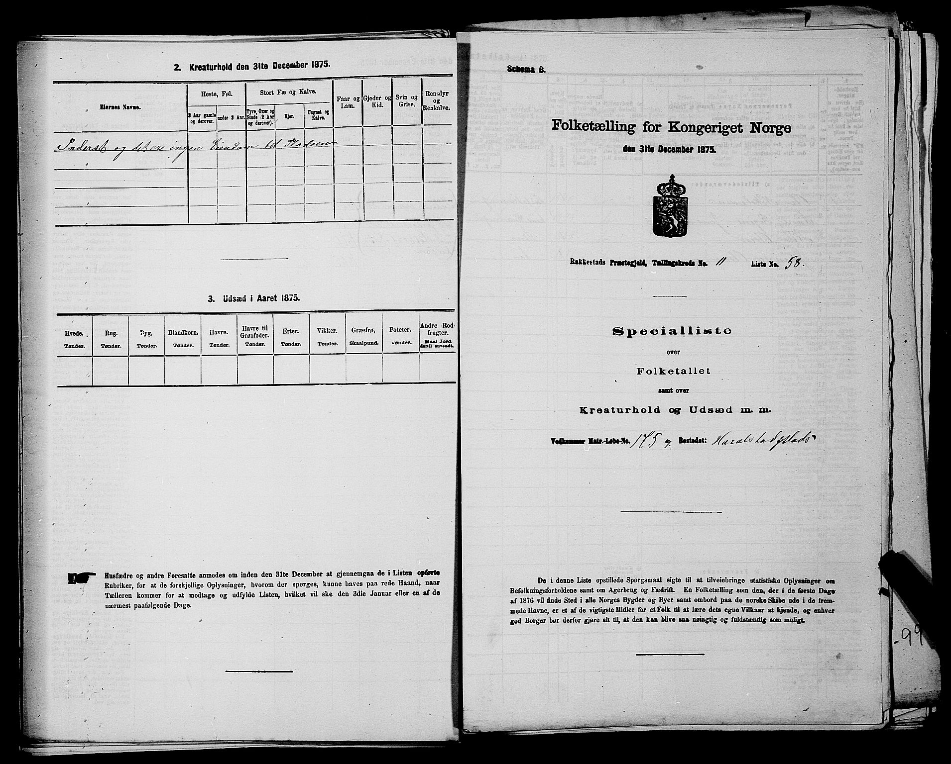 RA, Folketelling 1875 for 0128P Rakkestad prestegjeld, 1875, s. 1407