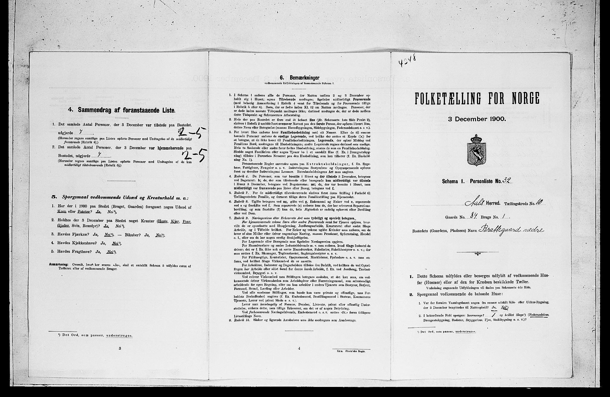 RA, Folketelling 1900 for 0619 Ål herred, 1900, s. 861
