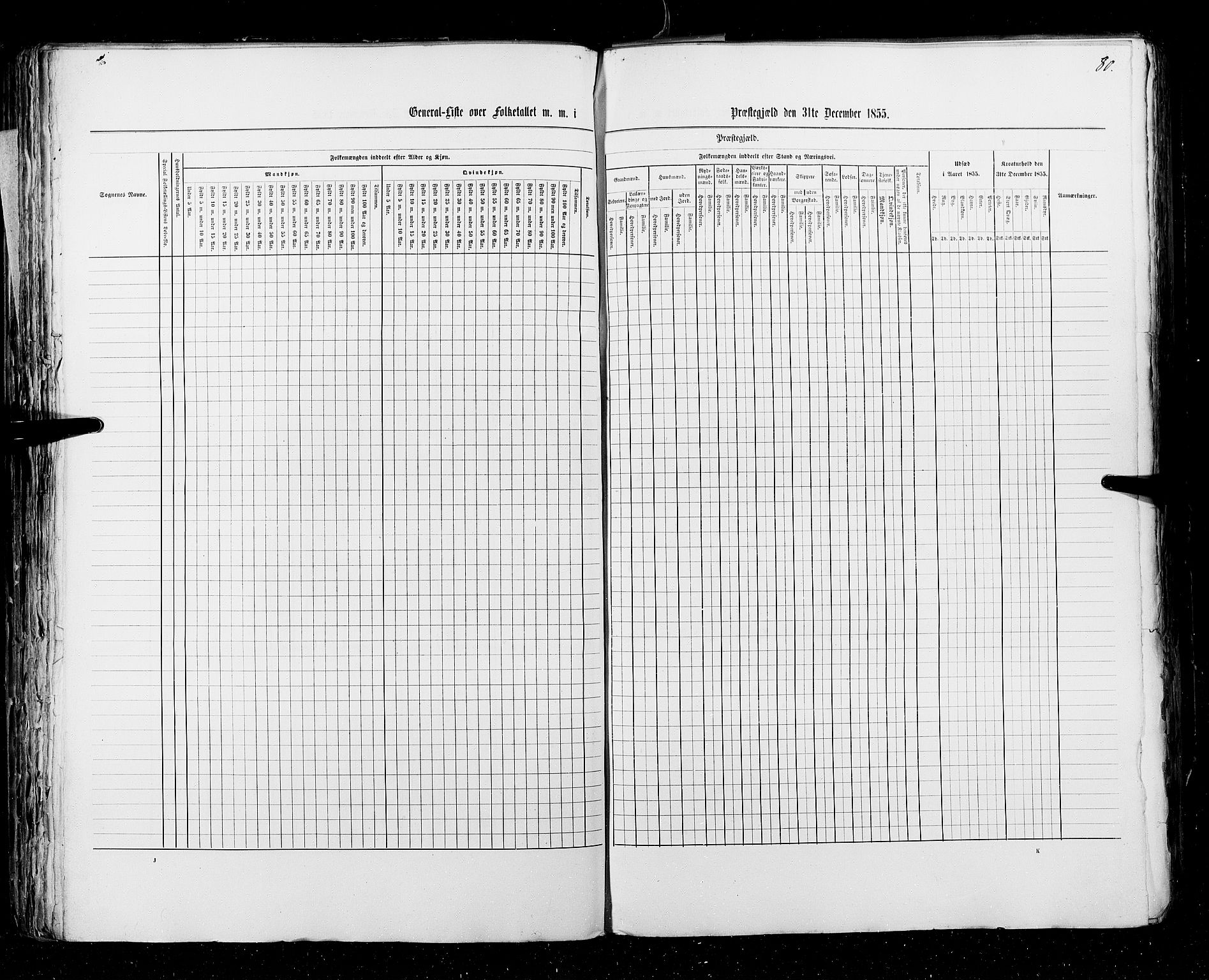 RA, Folketellingen 1855, bind 3: Bratsberg amt, Nedenes amt og Lister og Mandal amt, 1855, s. 80