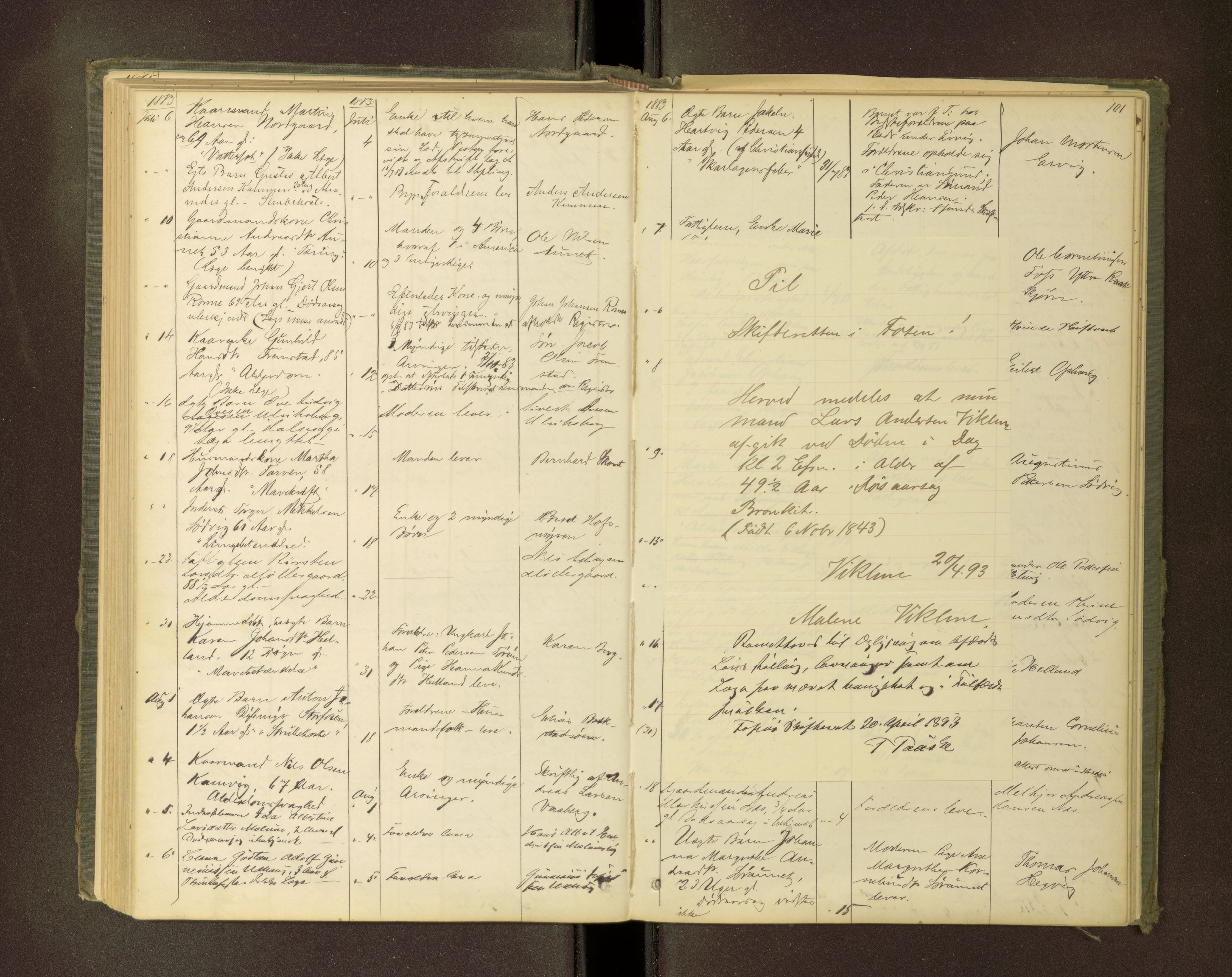 Fosen sorenskriveri, AV/SAT-A-1107/1/3/3L/L0001: Dødsanmeldelsesprotokoll for Ørland tinglag, 1863-1890, s. 100b-101a