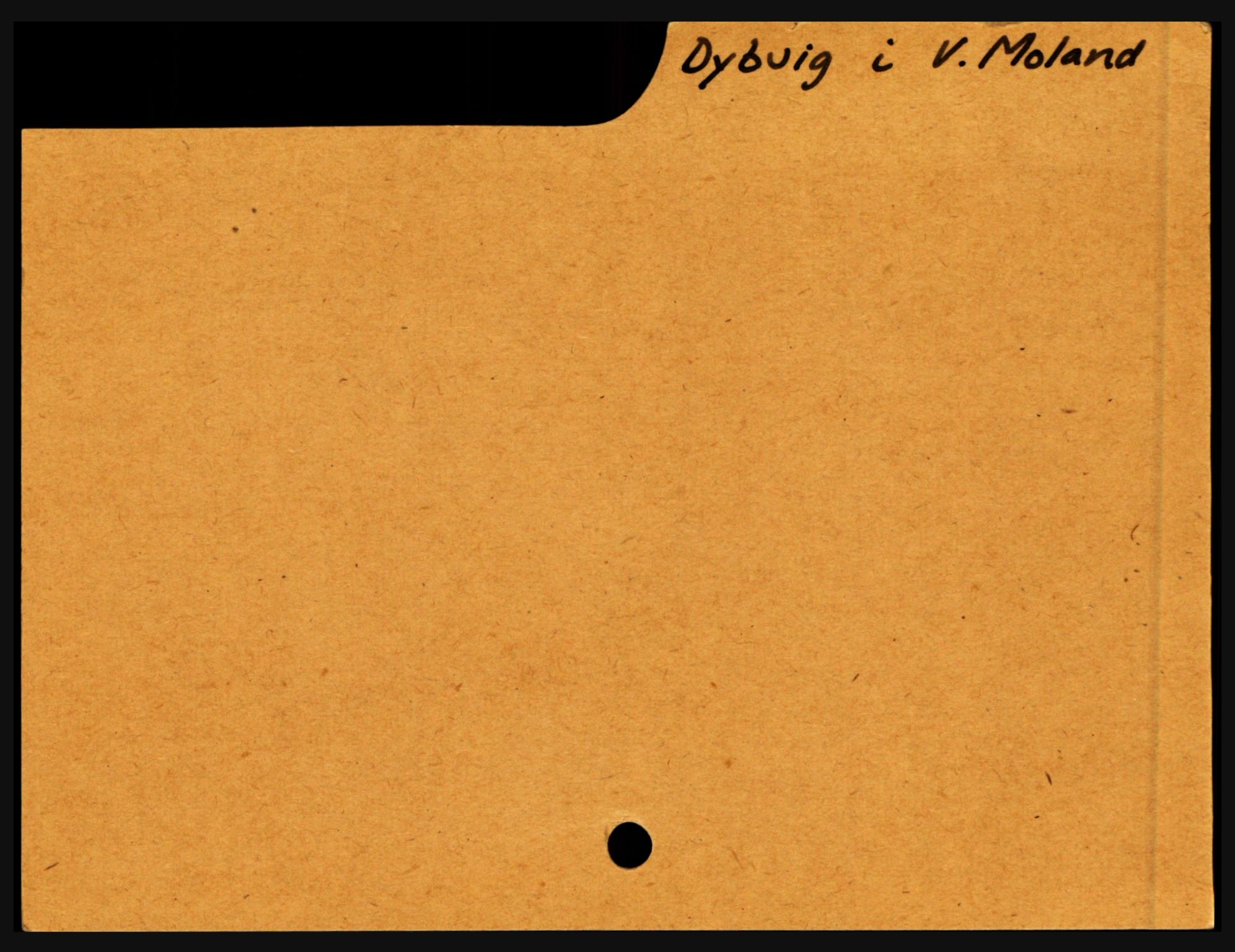 Nedenes sorenskriveri før 1824, SAK/1221-0007/H, s. 5453