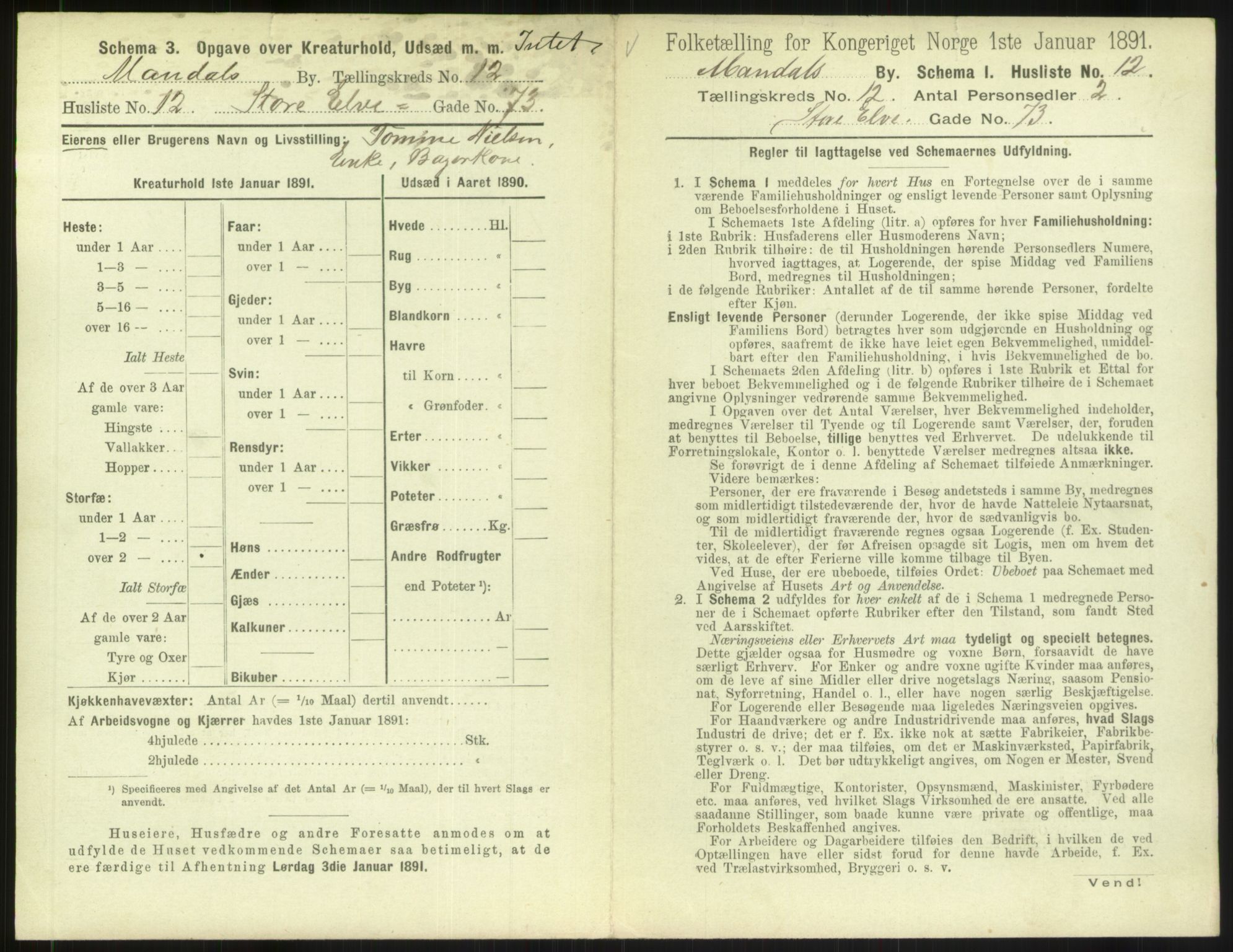 RA, Folketelling 1891 for 1002 Mandal ladested, 1891, s. 579