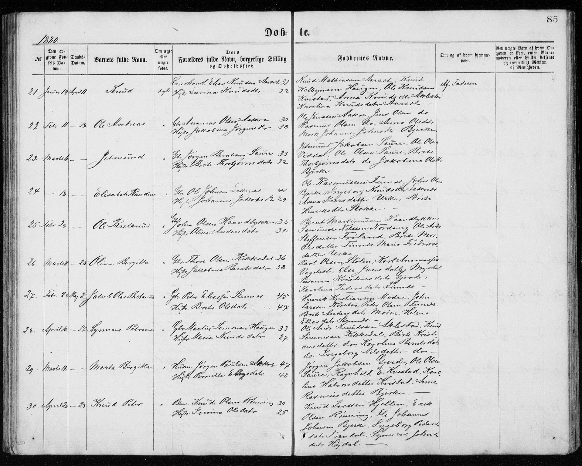 Ministerialprotokoller, klokkerbøker og fødselsregistre - Møre og Romsdal, AV/SAT-A-1454/515/L0214: Klokkerbok nr. 515C01, 1865-1883, s. 85