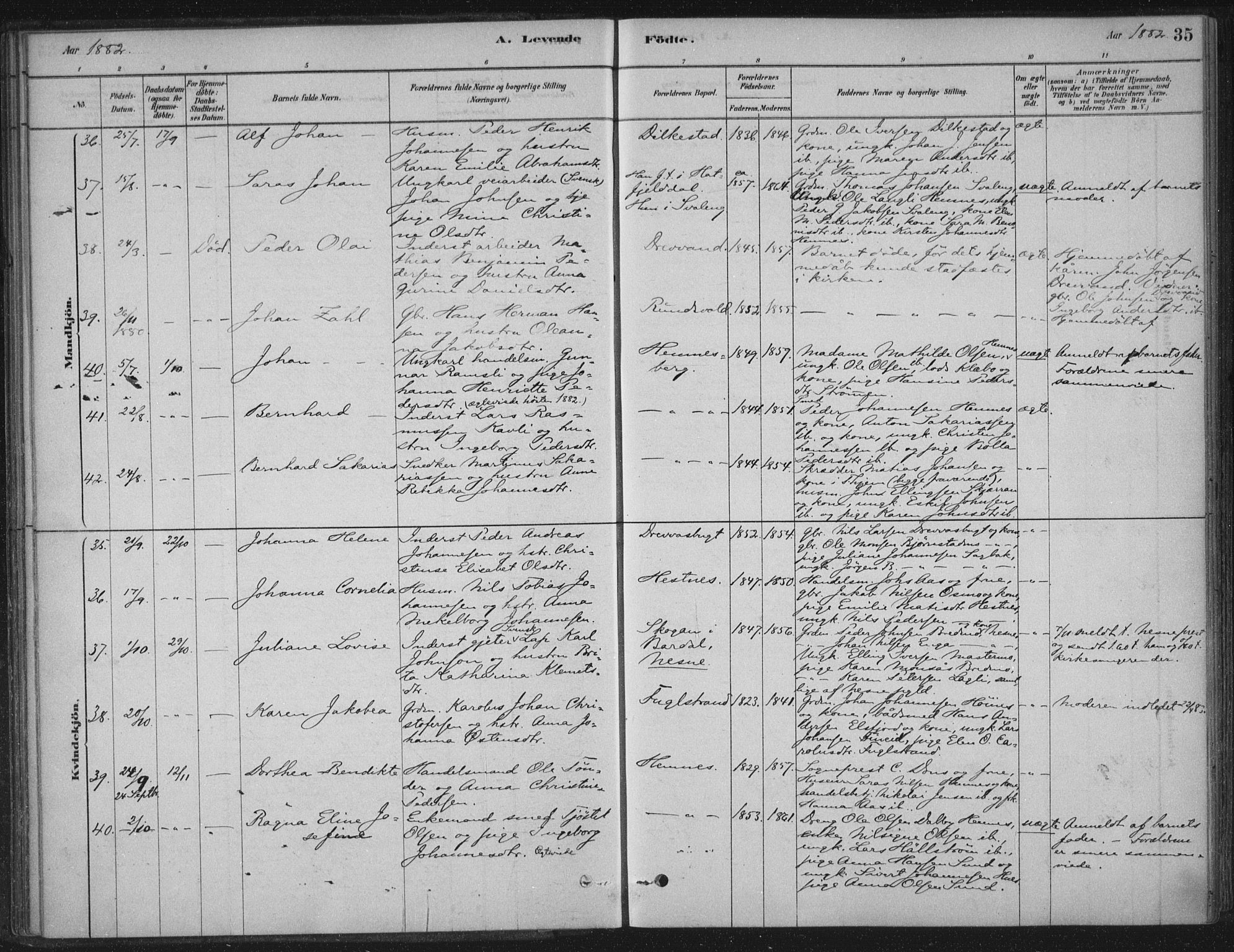 Ministerialprotokoller, klokkerbøker og fødselsregistre - Nordland, AV/SAT-A-1459/825/L0361: Ministerialbok nr. 825A15, 1878-1893, s. 35