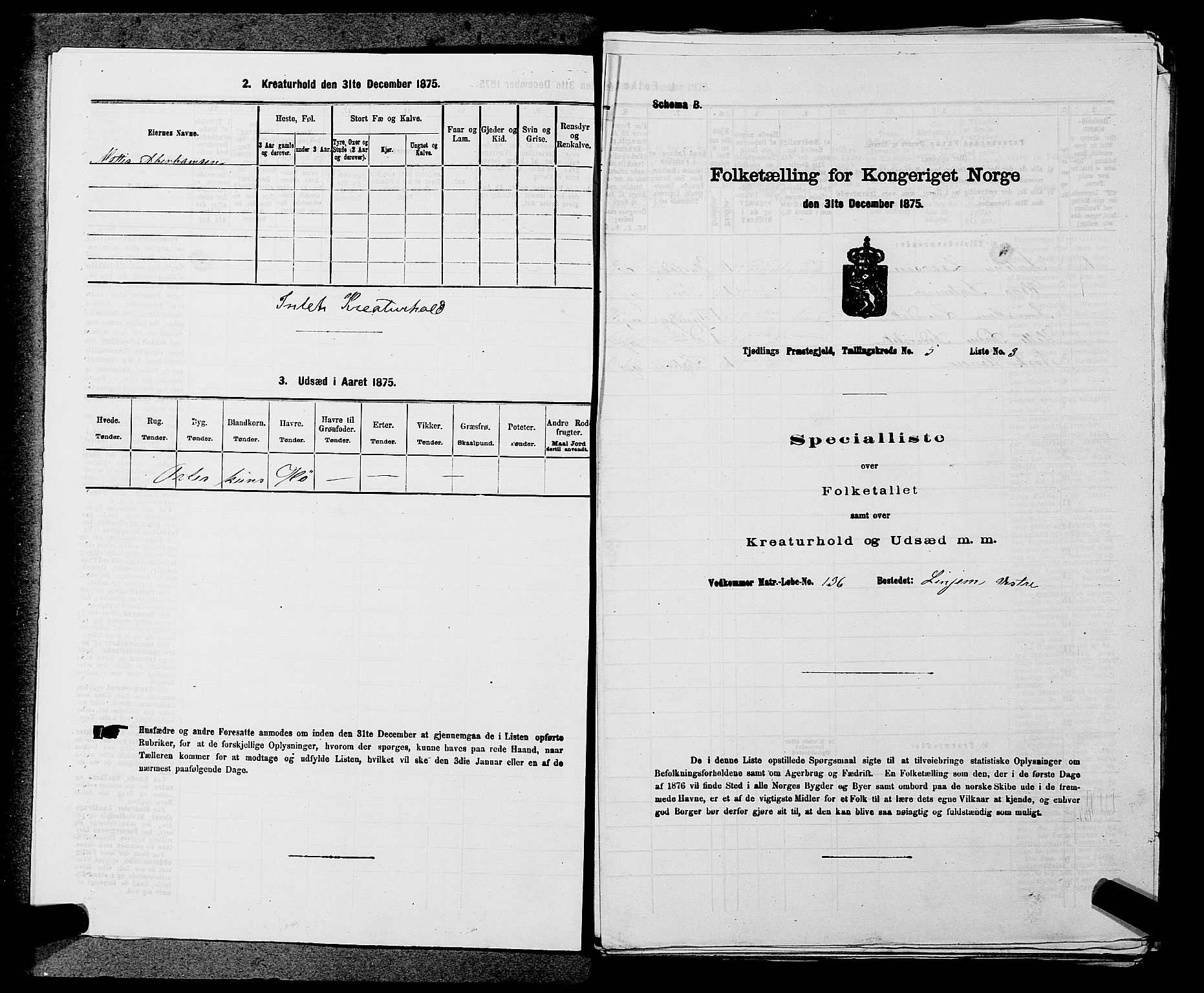 SAKO, Folketelling 1875 for 0725P Tjølling prestegjeld, 1875, s. 885