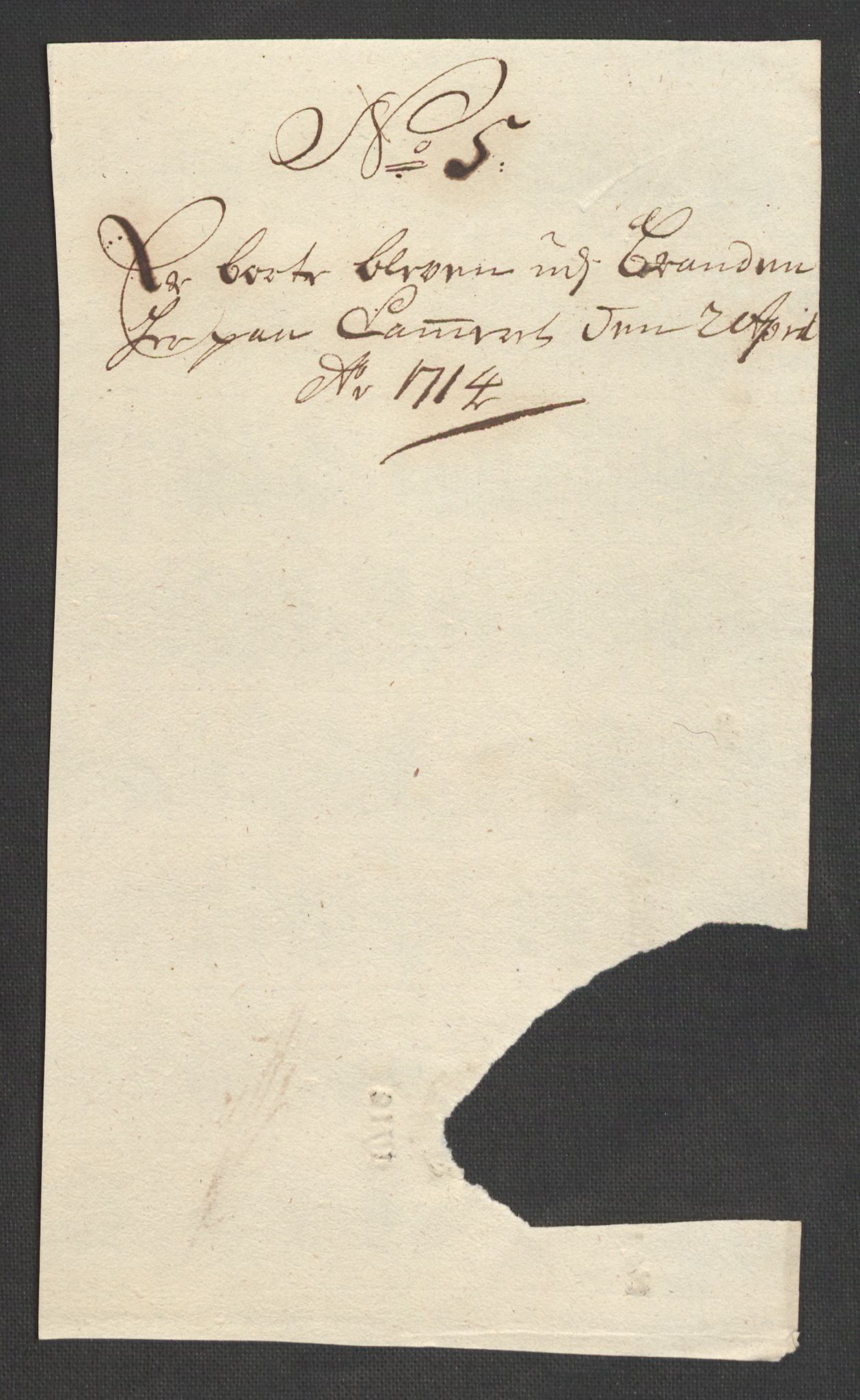 Rentekammeret inntil 1814, Reviderte regnskaper, Fogderegnskap, RA/EA-4092/R33/L1976: Fogderegnskap Larvik grevskap, 1698-1701, s. 165