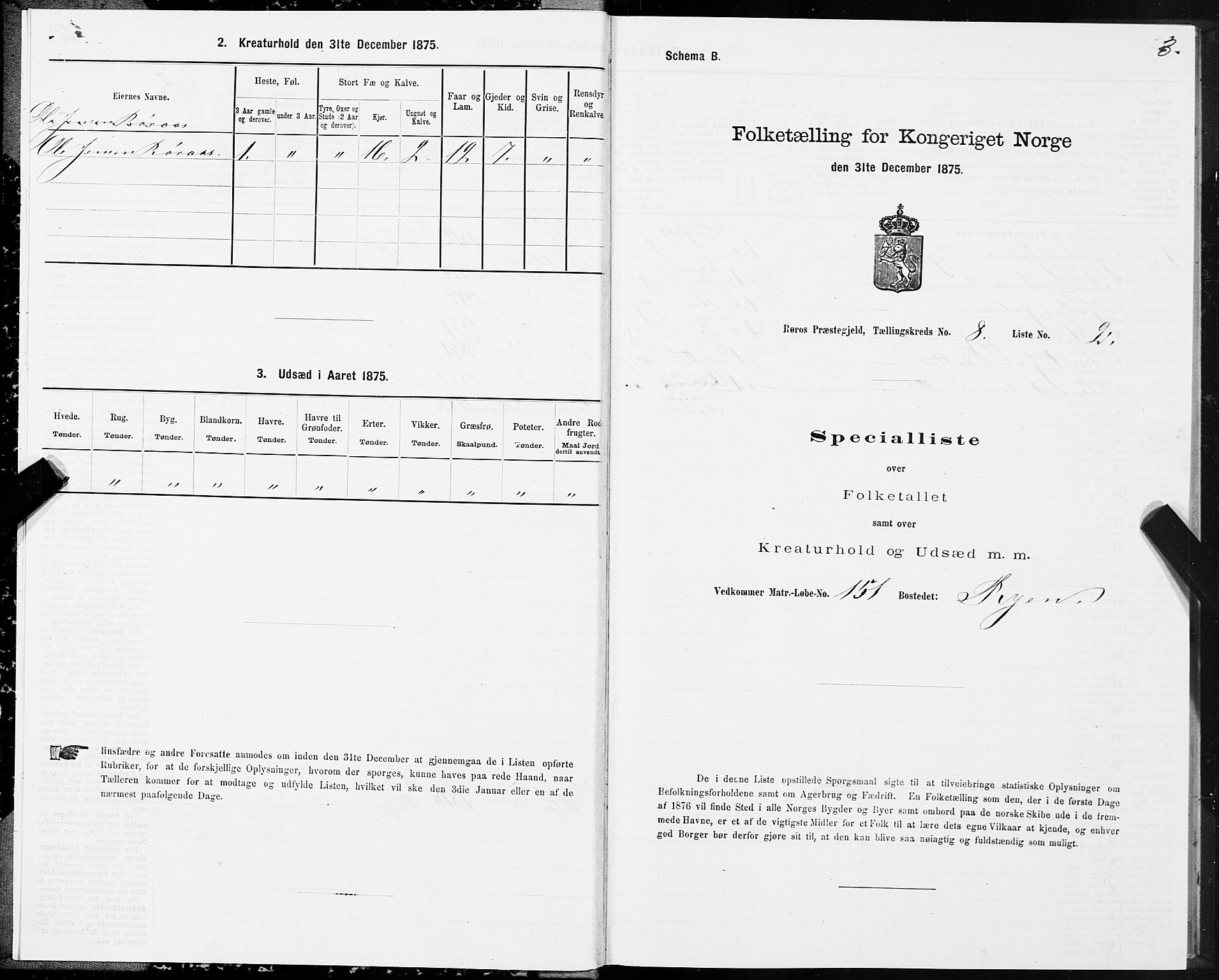 SAT, Folketelling 1875 for 1640P Røros prestegjeld, 1875, s. 5003