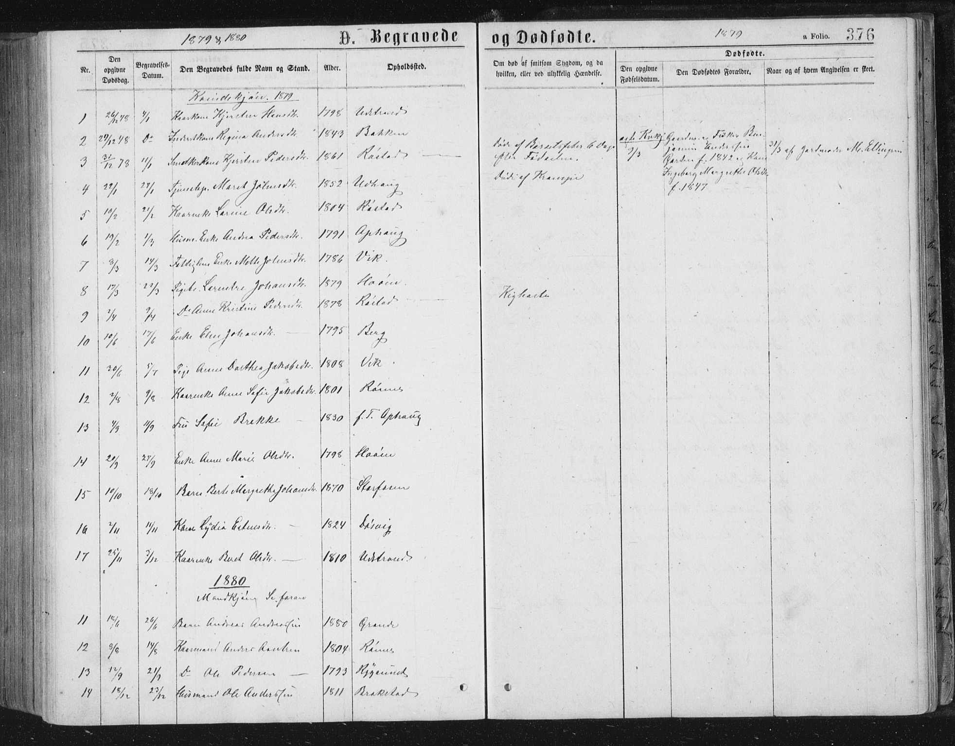 Ministerialprotokoller, klokkerbøker og fødselsregistre - Sør-Trøndelag, SAT/A-1456/659/L0745: Klokkerbok nr. 659C02, 1869-1892, s. 376