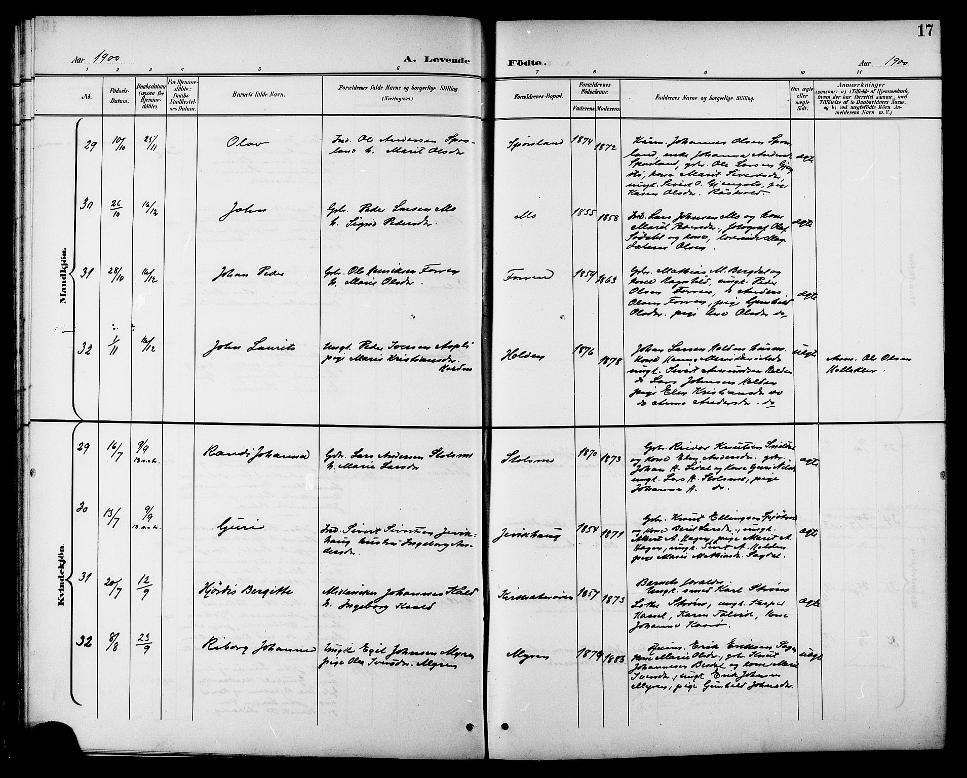 Ministerialprotokoller, klokkerbøker og fødselsregistre - Sør-Trøndelag, AV/SAT-A-1456/630/L0505: Klokkerbok nr. 630C03, 1899-1914, s. 17