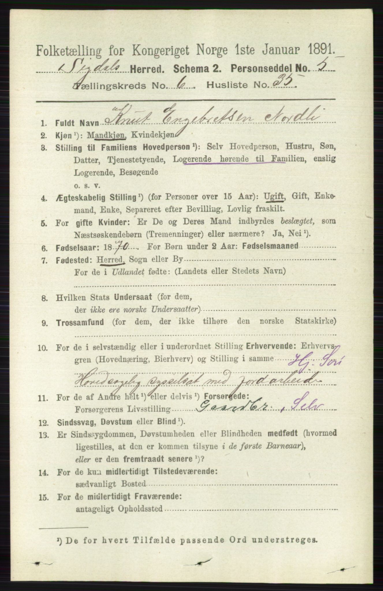RA, Folketelling 1891 for 0621 Sigdal herred, 1891, s. 2615