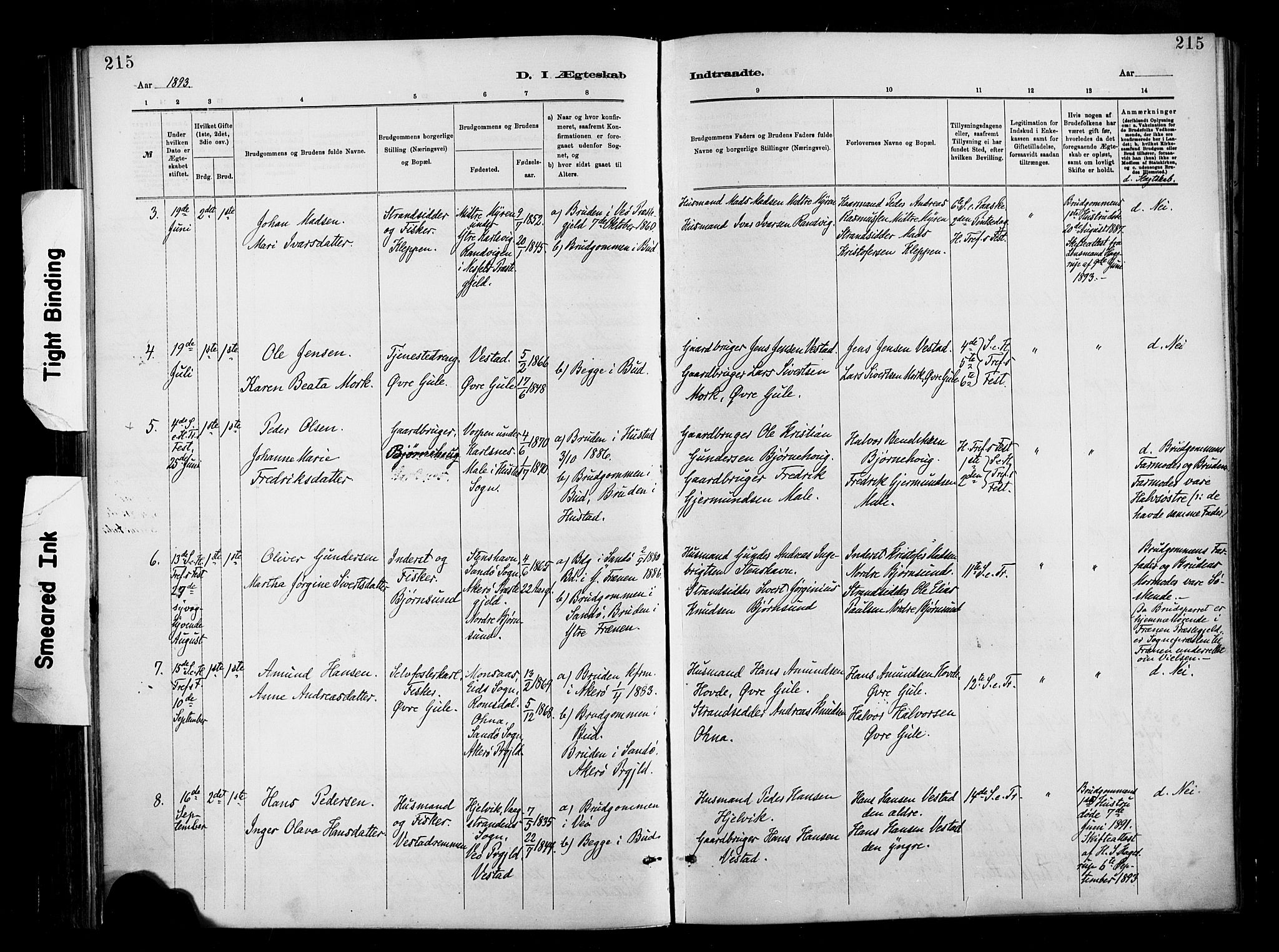 Ministerialprotokoller, klokkerbøker og fødselsregistre - Møre og Romsdal, SAT/A-1454/566/L0769: Ministerialbok nr. 566A08, 1881-1903, s. 215