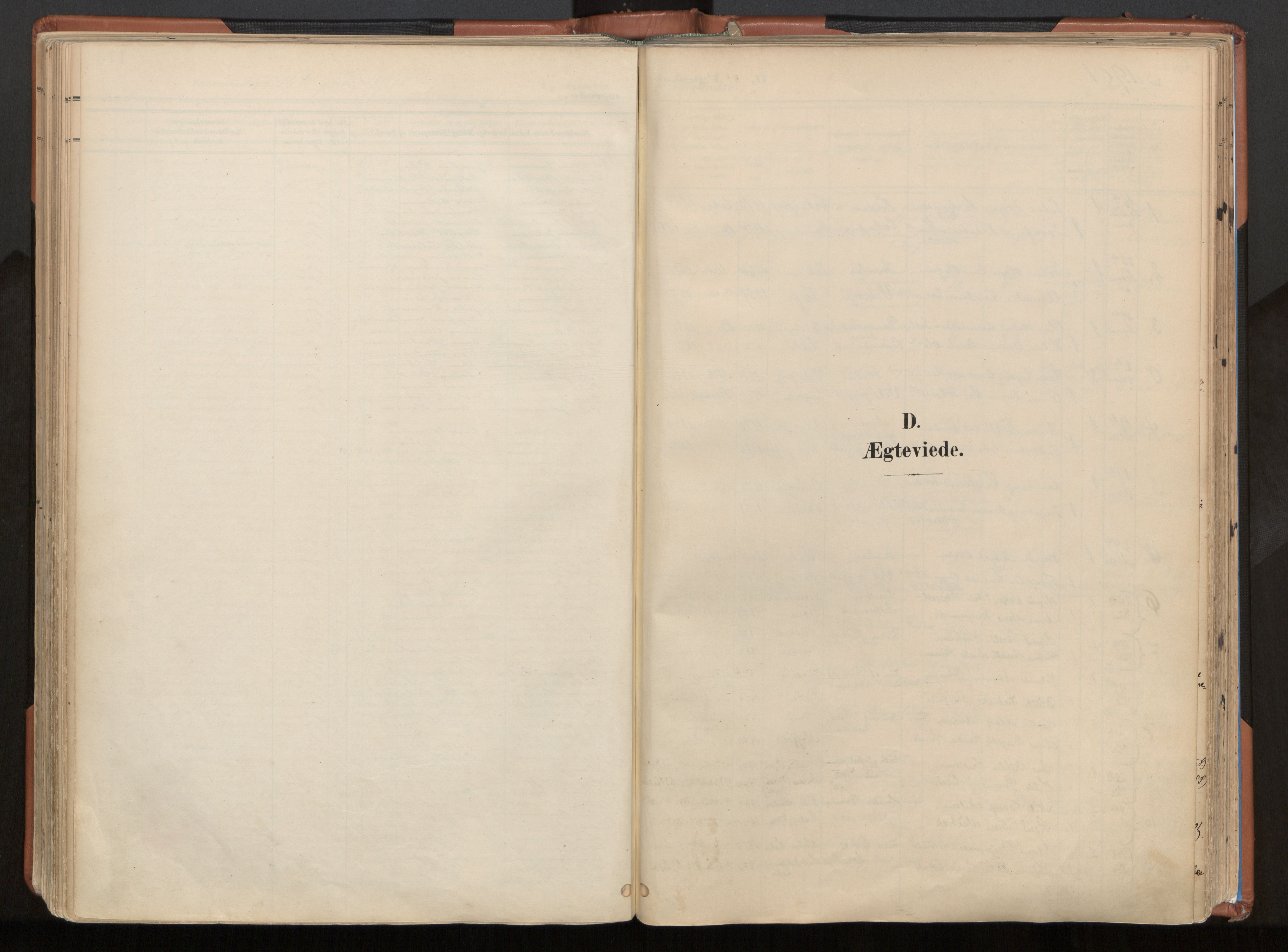 Ministerialprotokoller, klokkerbøker og fødselsregistre - Nordland, AV/SAT-A-1459/813/L0201: Ministerialbok nr. 813A11, 1901-1918