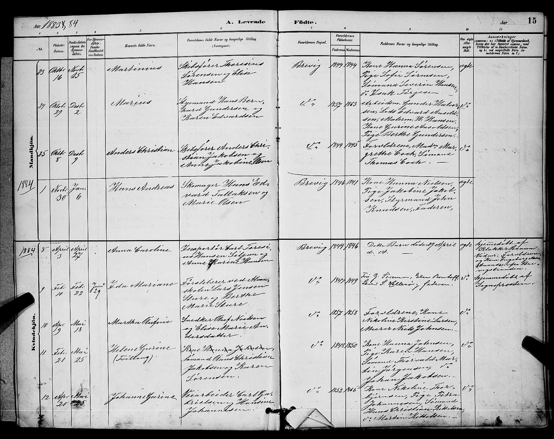 Brevik kirkebøker, AV/SAKO-A-255/G/Ga/L0004: Klokkerbok nr. 4, 1882-1900, s. 15