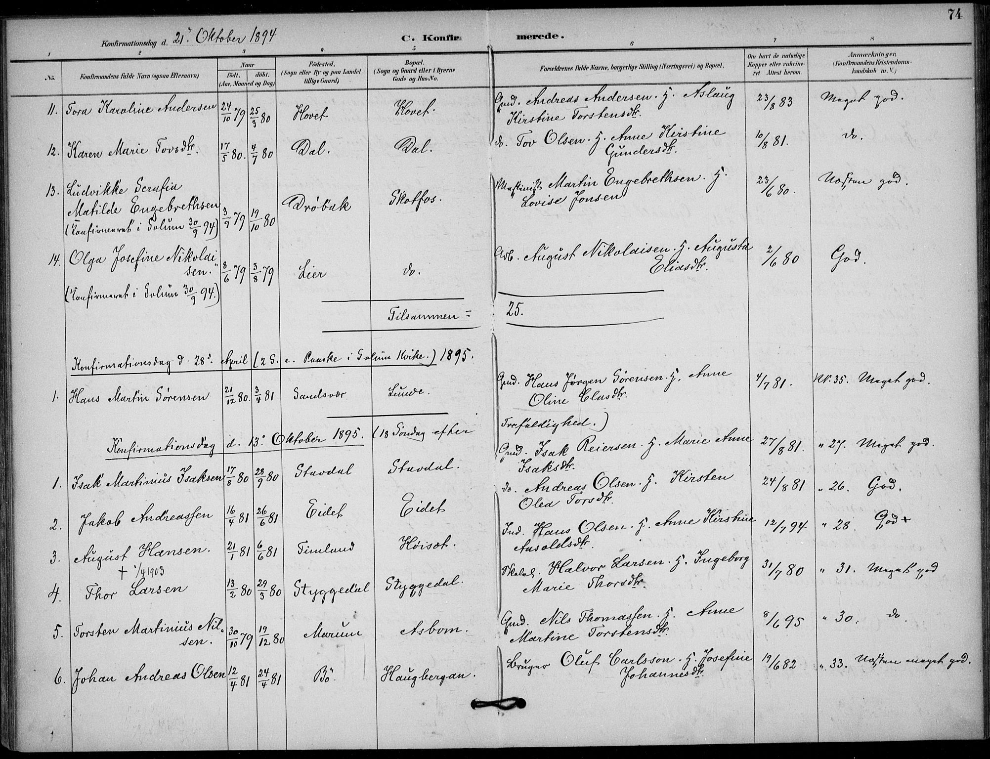 Solum kirkebøker, AV/SAKO-A-306/F/Fb/L0002: Ministerialbok nr. II 2, 1893-1901, s. 74