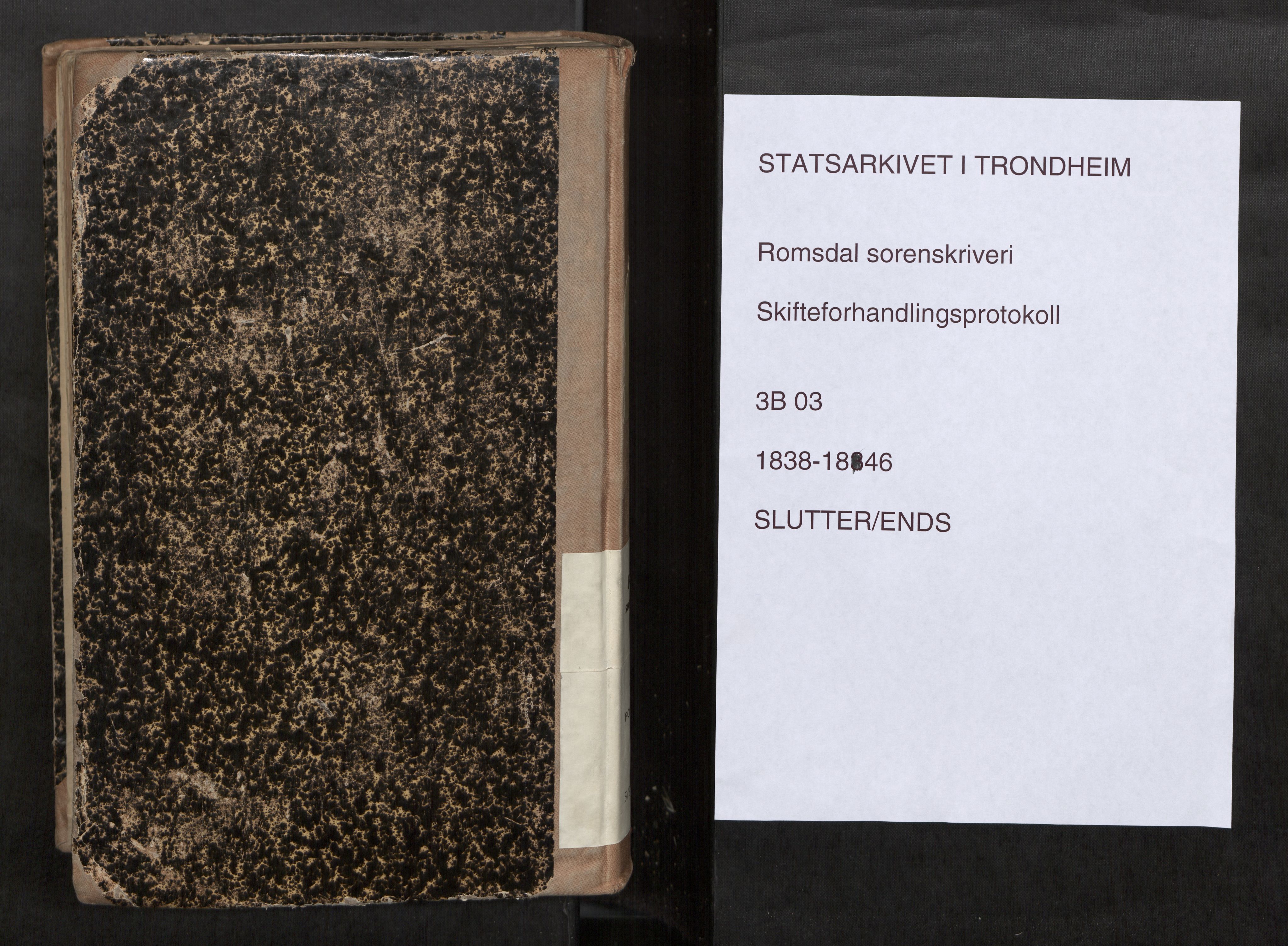 Romsdal sorenskriveri, AV/SAT-A-4149/1/3/3B/L0003: Skiftebehandlingsprotokoll, 1838-1846