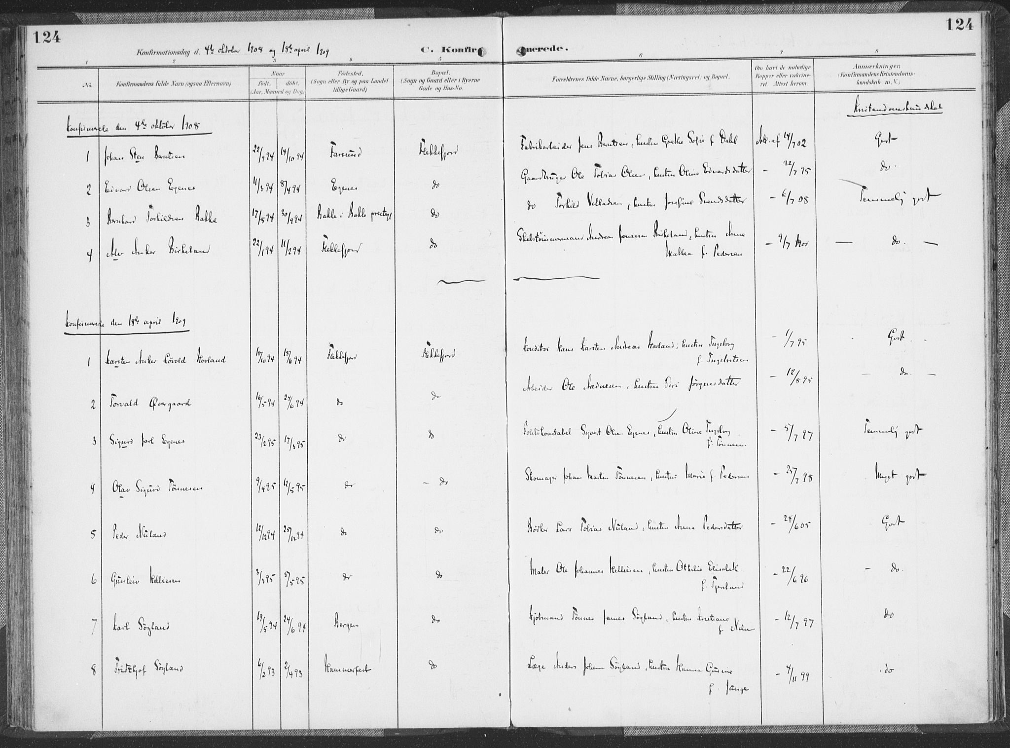 Flekkefjord sokneprestkontor, SAK/1111-0012/F/Fa/Faa/L0002: Ministerialbok nr. A 2, 1900-1912, s. 124