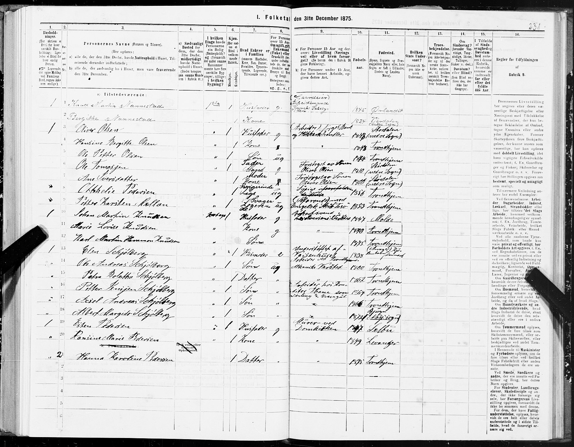 SAT, Folketelling 1875 for 1601 Trondheim kjøpstad, 1875, s. 10231