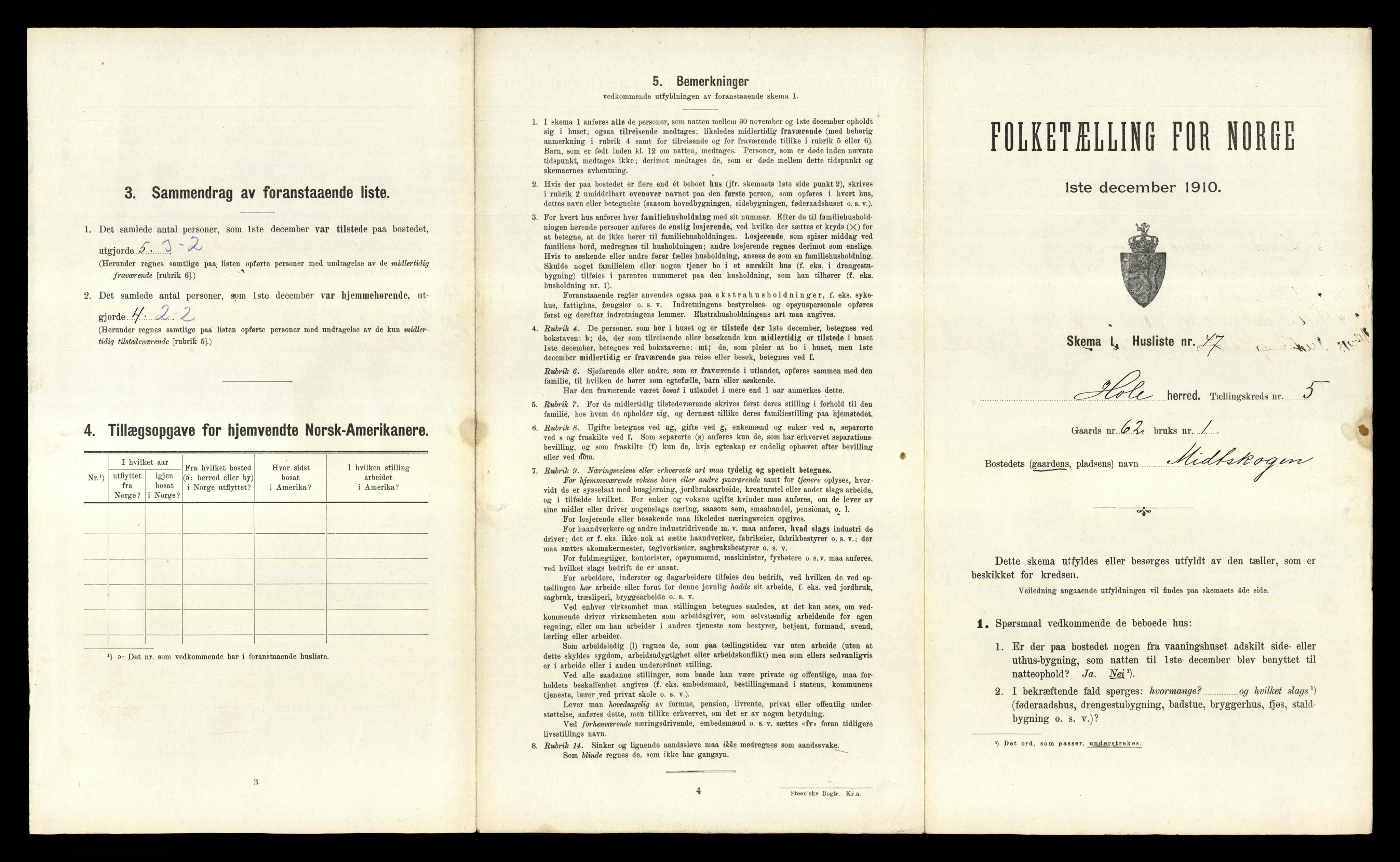 RA, Folketelling 1910 for 0612 Hole herred, 1910, s. 796