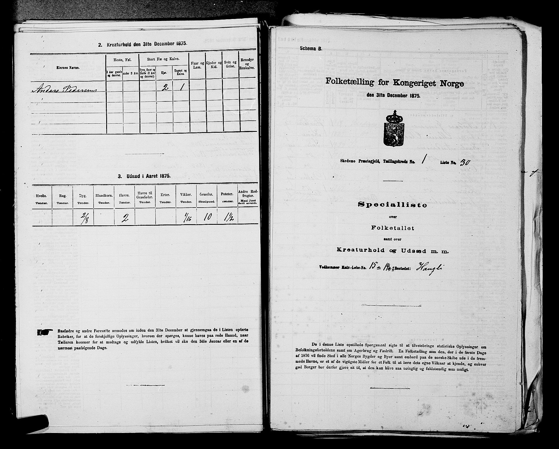 RA, Folketelling 1875 for 0231P Skedsmo prestegjeld, 1875, s. 116