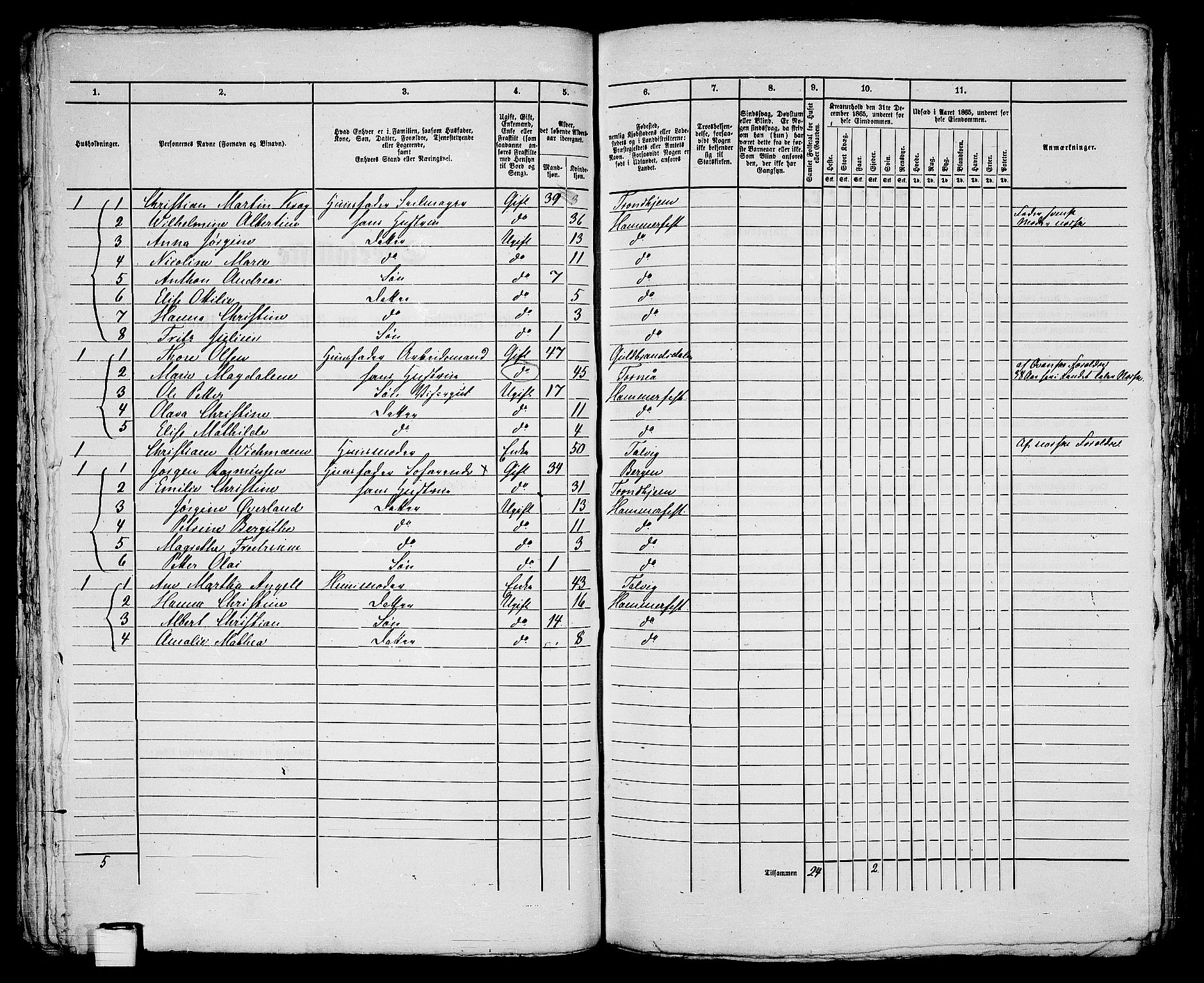 RA, Folketelling 1865 for 2001B Hammerfest prestegjeld, Hammerfest kjøpstad, 1865, s. 118