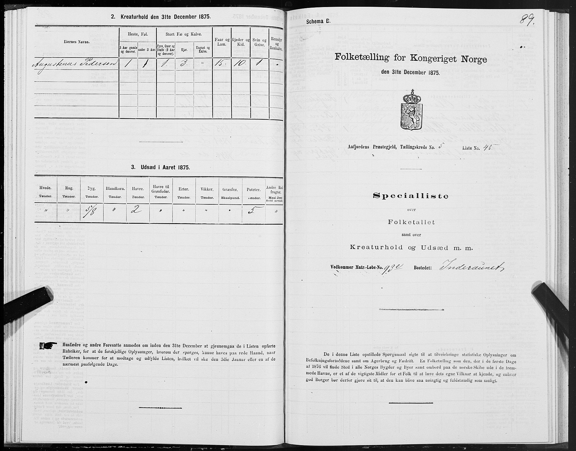 SAT, Folketelling 1875 for 1630P Aafjorden prestegjeld, 1875, s. 3089