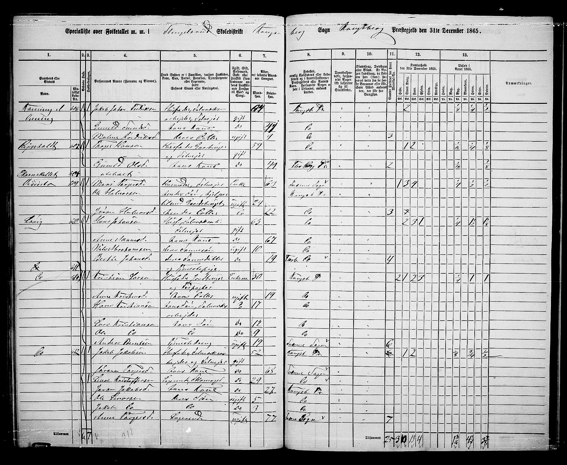 RA, Folketelling 1865 for 0692L Kongsberg prestegjeld, Kongsberg landsokn, 1865, s. 14