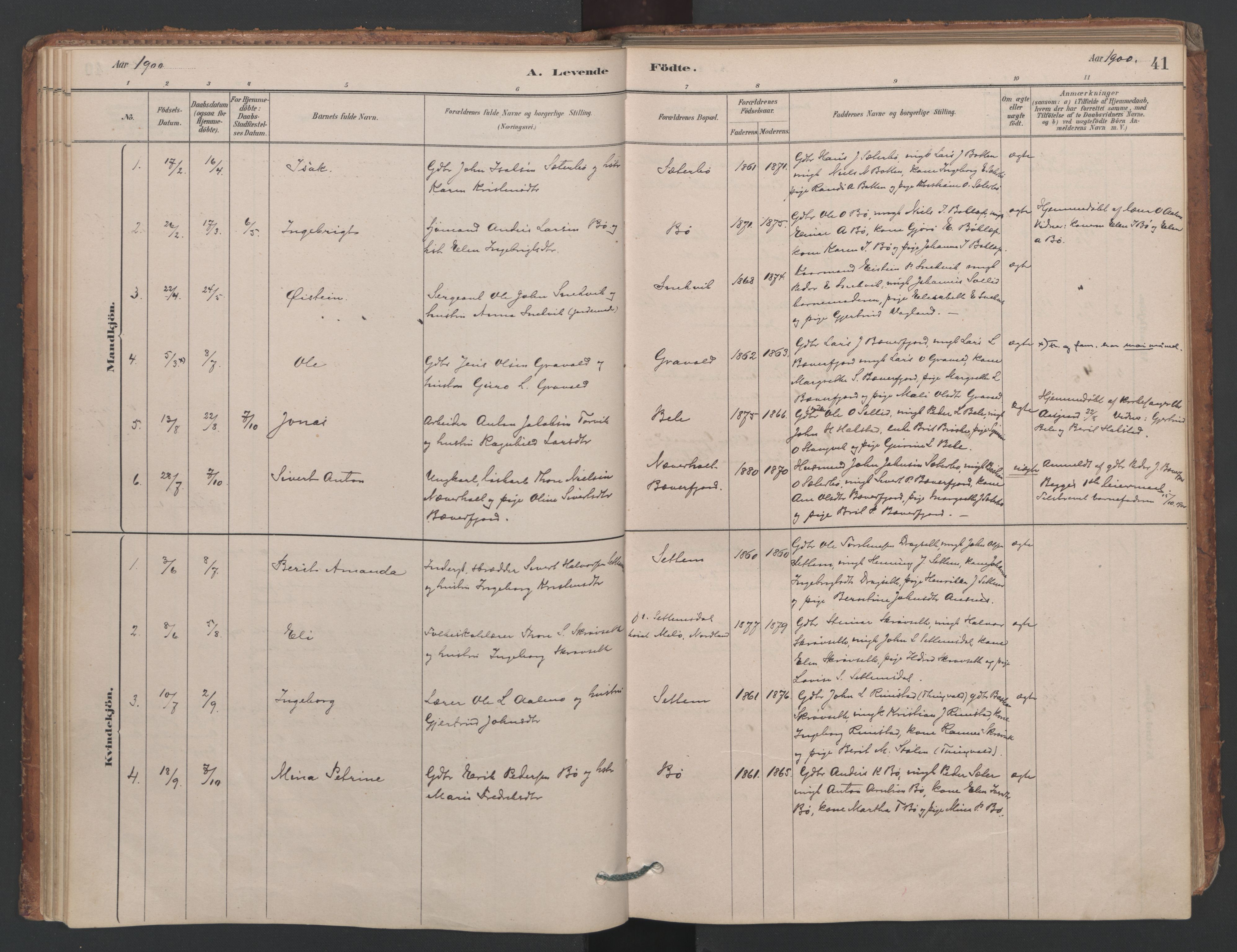 Ministerialprotokoller, klokkerbøker og fødselsregistre - Møre og Romsdal, SAT/A-1454/594/L1036: Ministerialbok nr. 594A02 (?), 1879-1910, s. 41