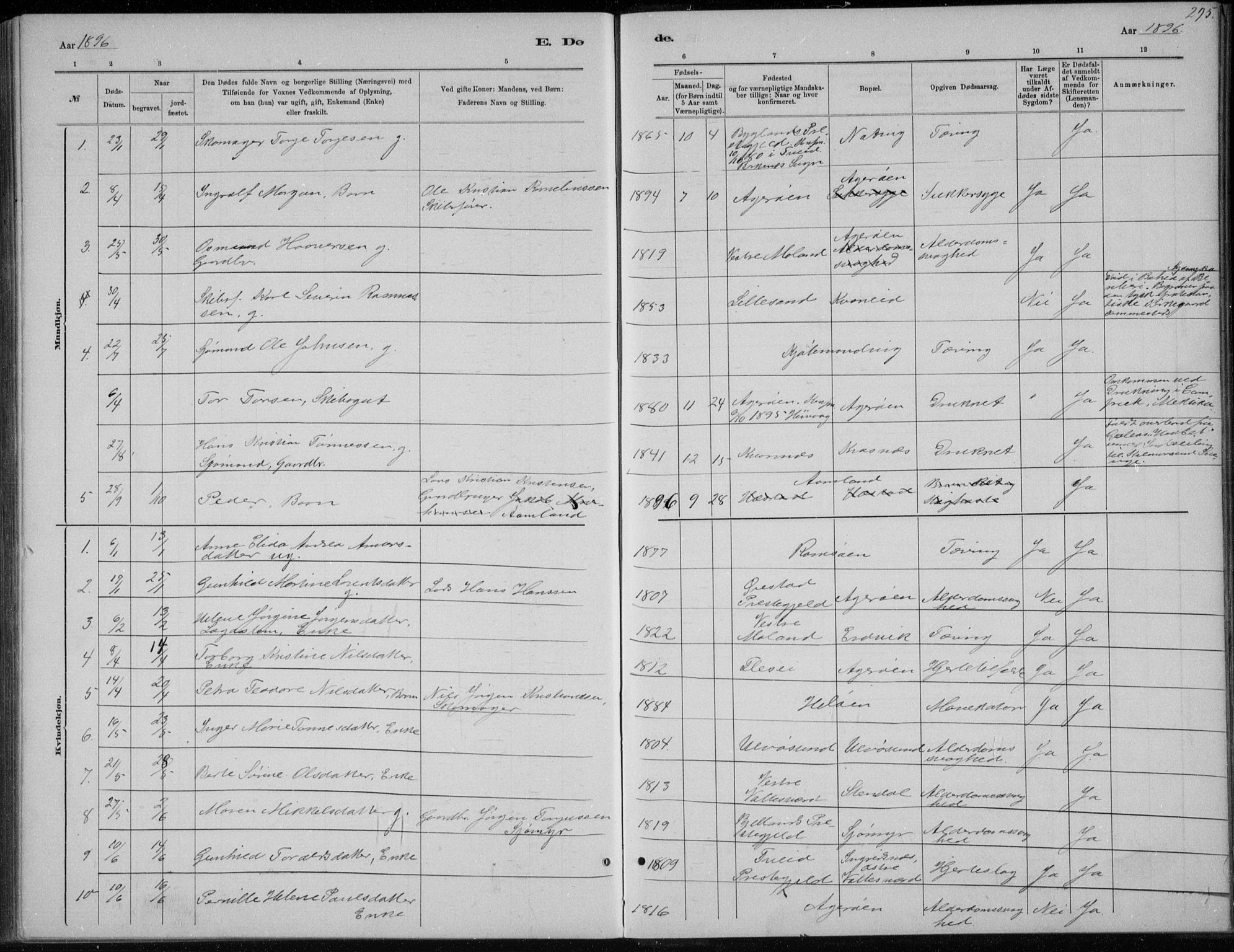 Høvåg sokneprestkontor, AV/SAK-1111-0025/F/Fb/L0004: Klokkerbok nr. B 4, 1883-1898, s. 295