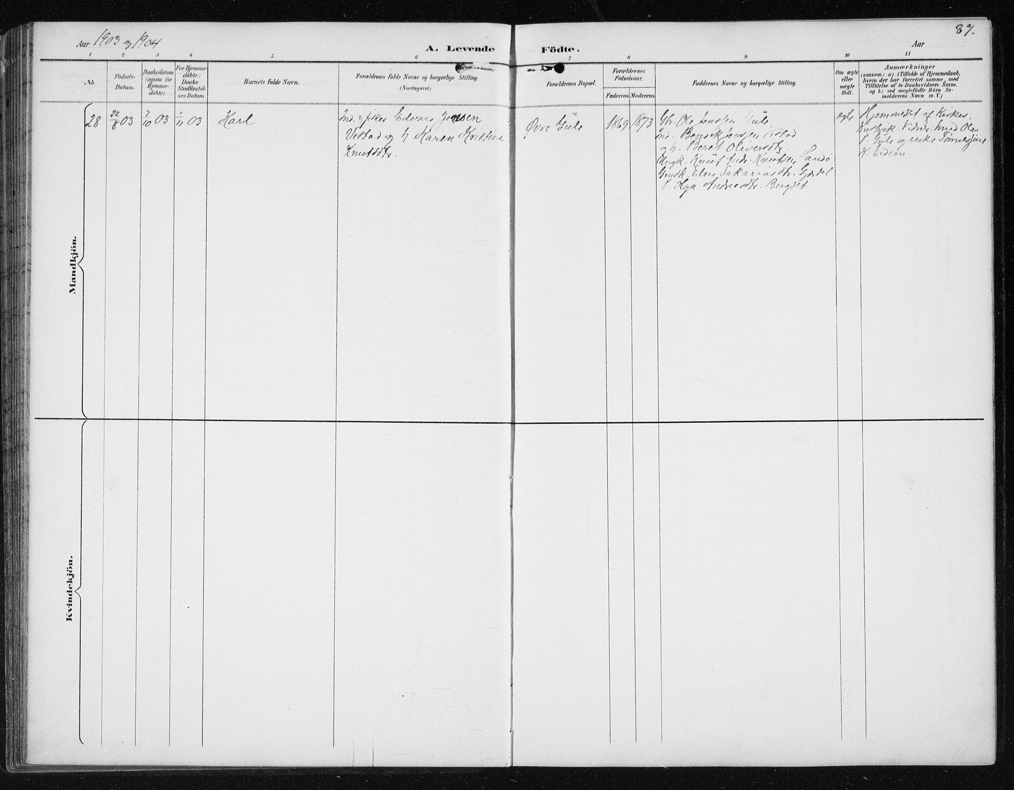 Ministerialprotokoller, klokkerbøker og fødselsregistre - Møre og Romsdal, AV/SAT-A-1454/566/L0773: Klokkerbok nr. 566C02, 1892-1909, s. 87