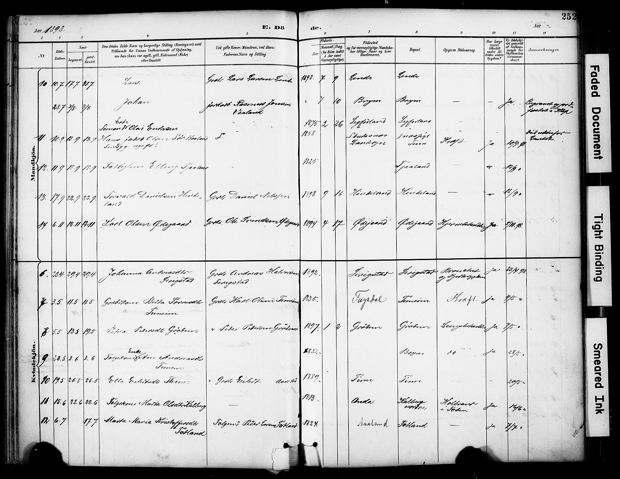 Lye sokneprestkontor, AV/SAST-A-101794/001/30BA/L0011: Ministerialbok nr. A 9, 1893-1903, s. 252