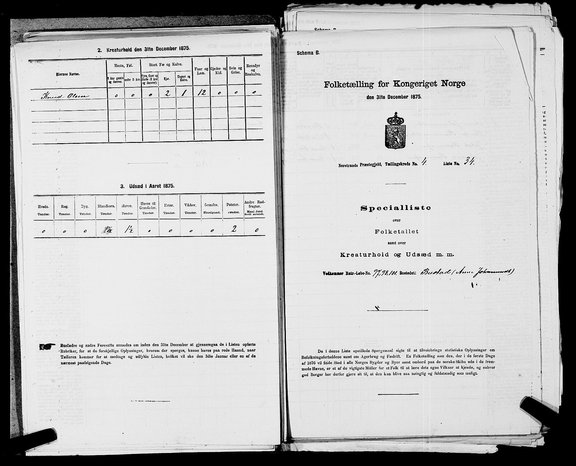 SAST, Folketelling 1875 for 1139P Nedstrand prestegjeld, 1875, s. 214