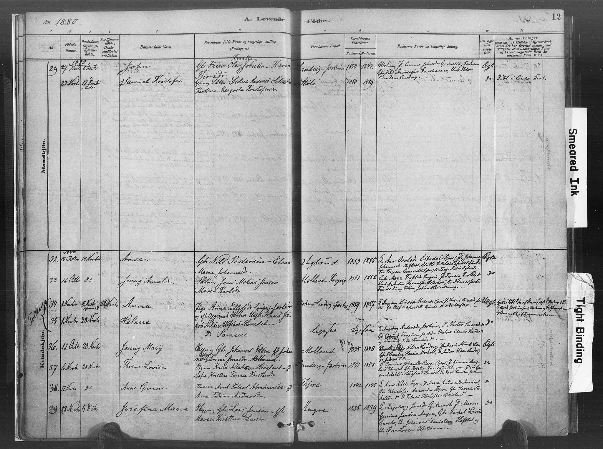 Hommedal sokneprestkontor, AV/SAK-1111-0023/F/Fa/Fab/L0006: Ministerialbok nr. A 6, 1878-1897, s. 12