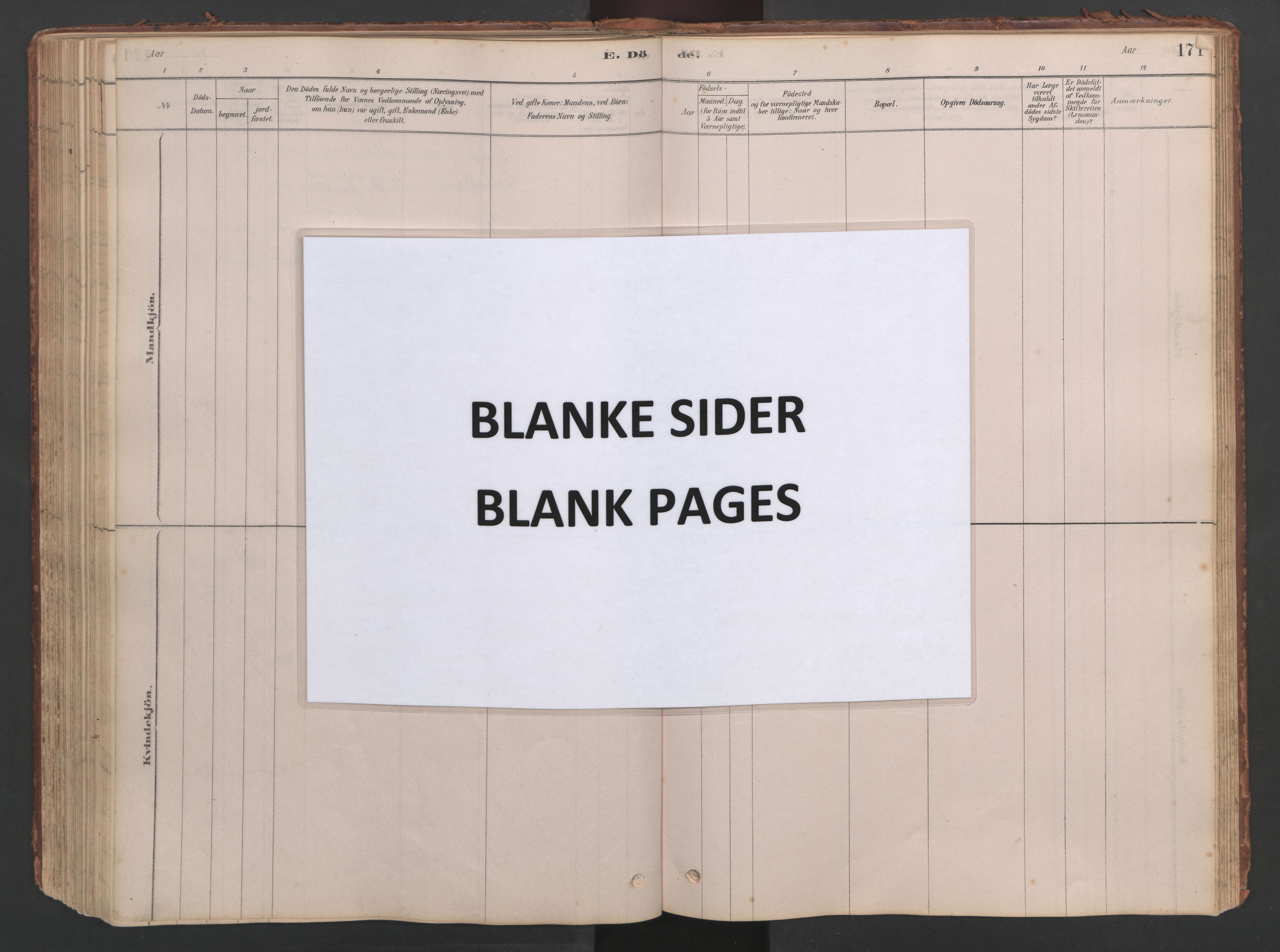 Ministerialprotokoller, klokkerbøker og fødselsregistre - Møre og Romsdal, AV/SAT-A-1454/514/L0201: Klokkerbok nr. 514C01, 1878-1919, s. 171