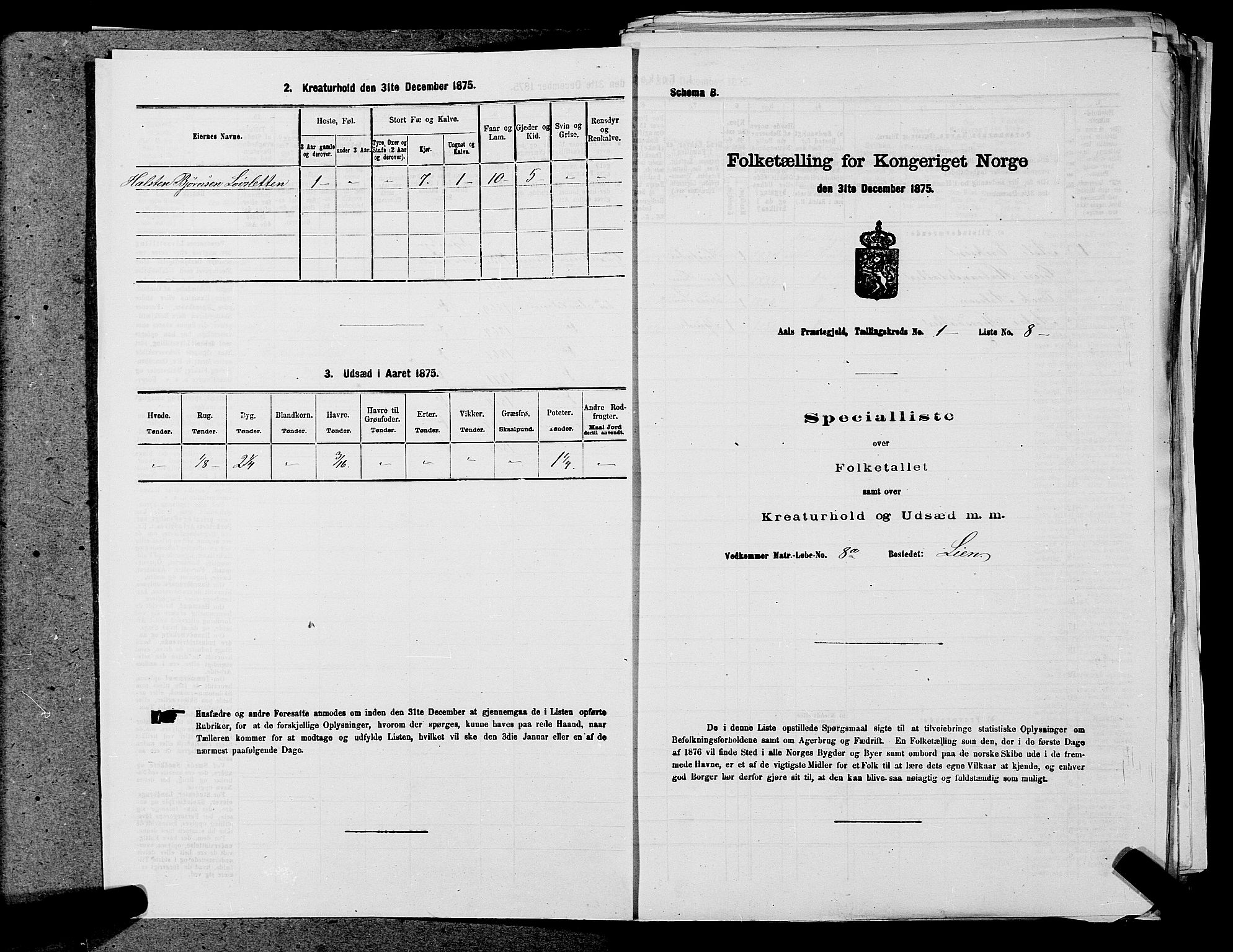 SAKO, Folketelling 1875 for 0619P Ål prestegjeld, 1875, s. 34