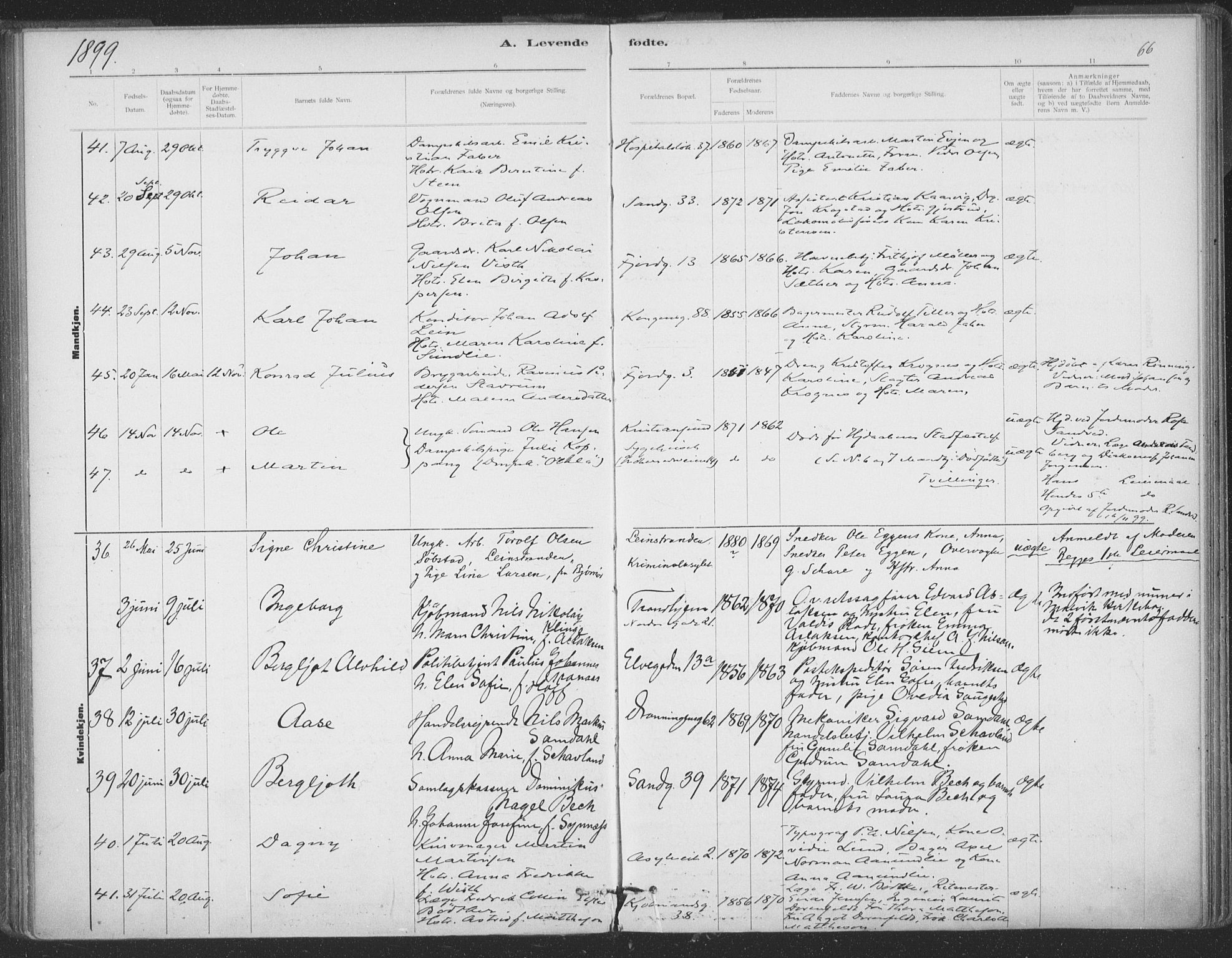 Ministerialprotokoller, klokkerbøker og fødselsregistre - Sør-Trøndelag, SAT/A-1456/602/L0122: Ministerialbok nr. 602A20, 1892-1908, s. 66