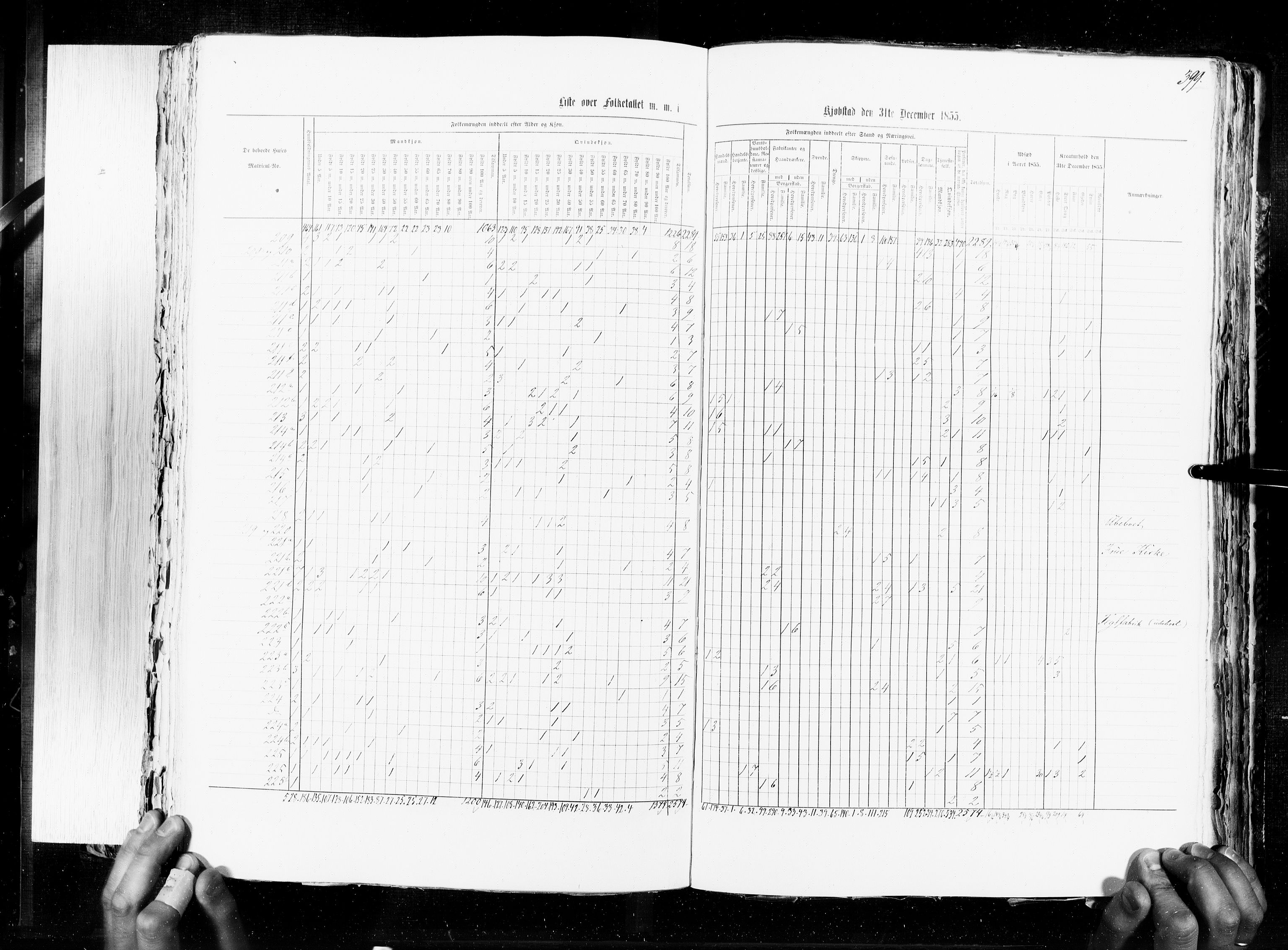 RA, Folketellingen 1855, bind 7: Kjøpsteder og ladesteder: Fredrikshald-Kragerø, 1855, s. 399