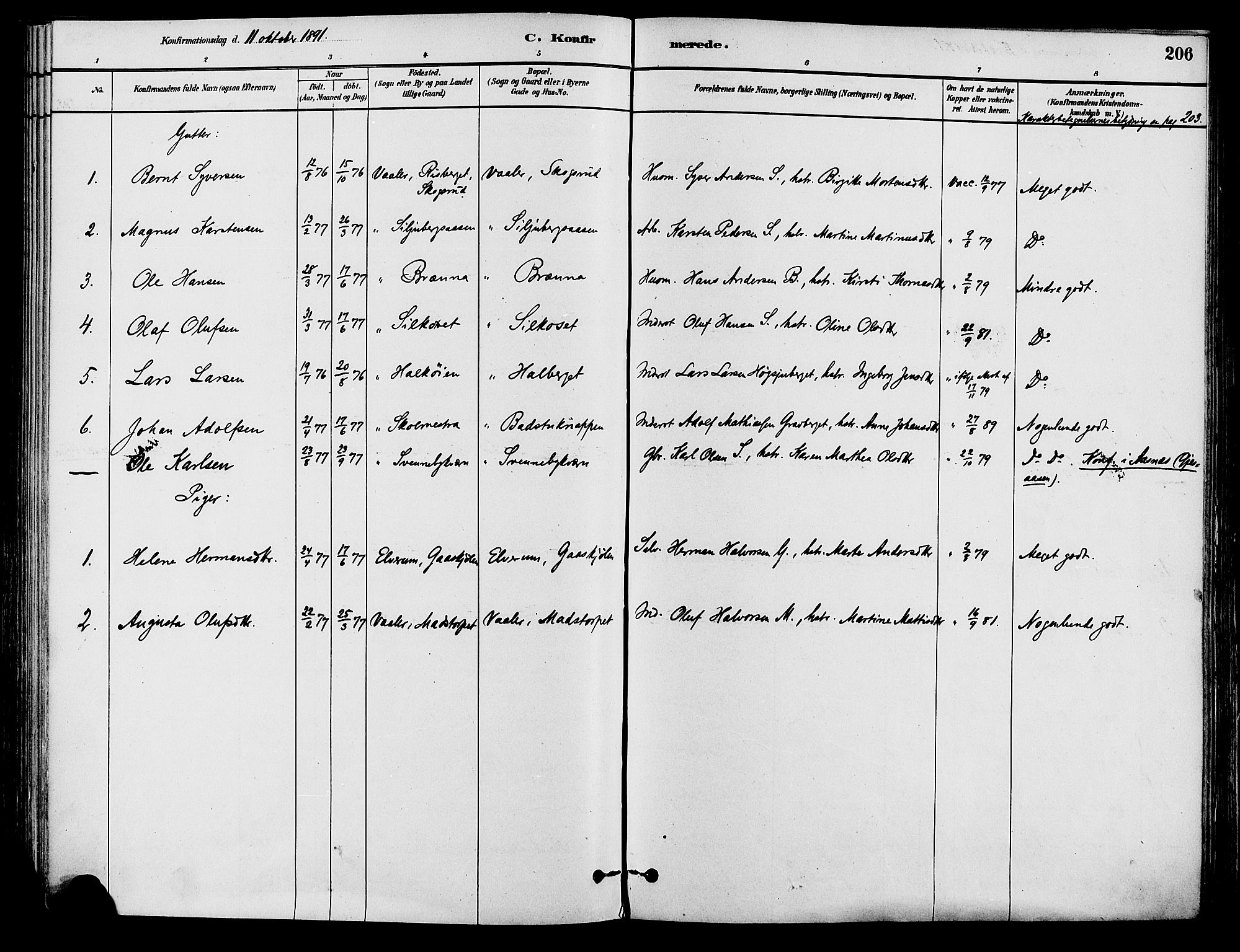 Våler prestekontor, Hedmark, AV/SAH-PREST-040/H/Ha/Haa/L0002: Ministerialbok nr. 3, 1879-1911, s. 206