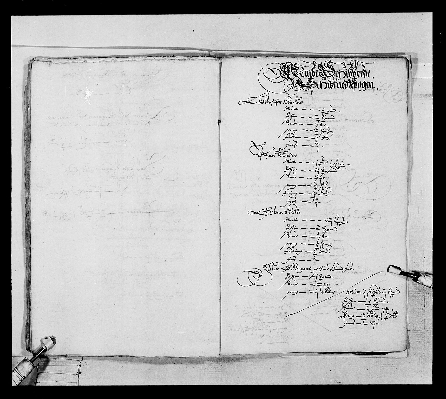 Stattholderembetet 1572-1771, RA/EA-2870/Ek/L0022/0001: Jordebøker 1633-1658: / Jordebok over viss rente i Tune, Åbygge, Hvaler og Veme skipreide, 1646-1647, s. 33