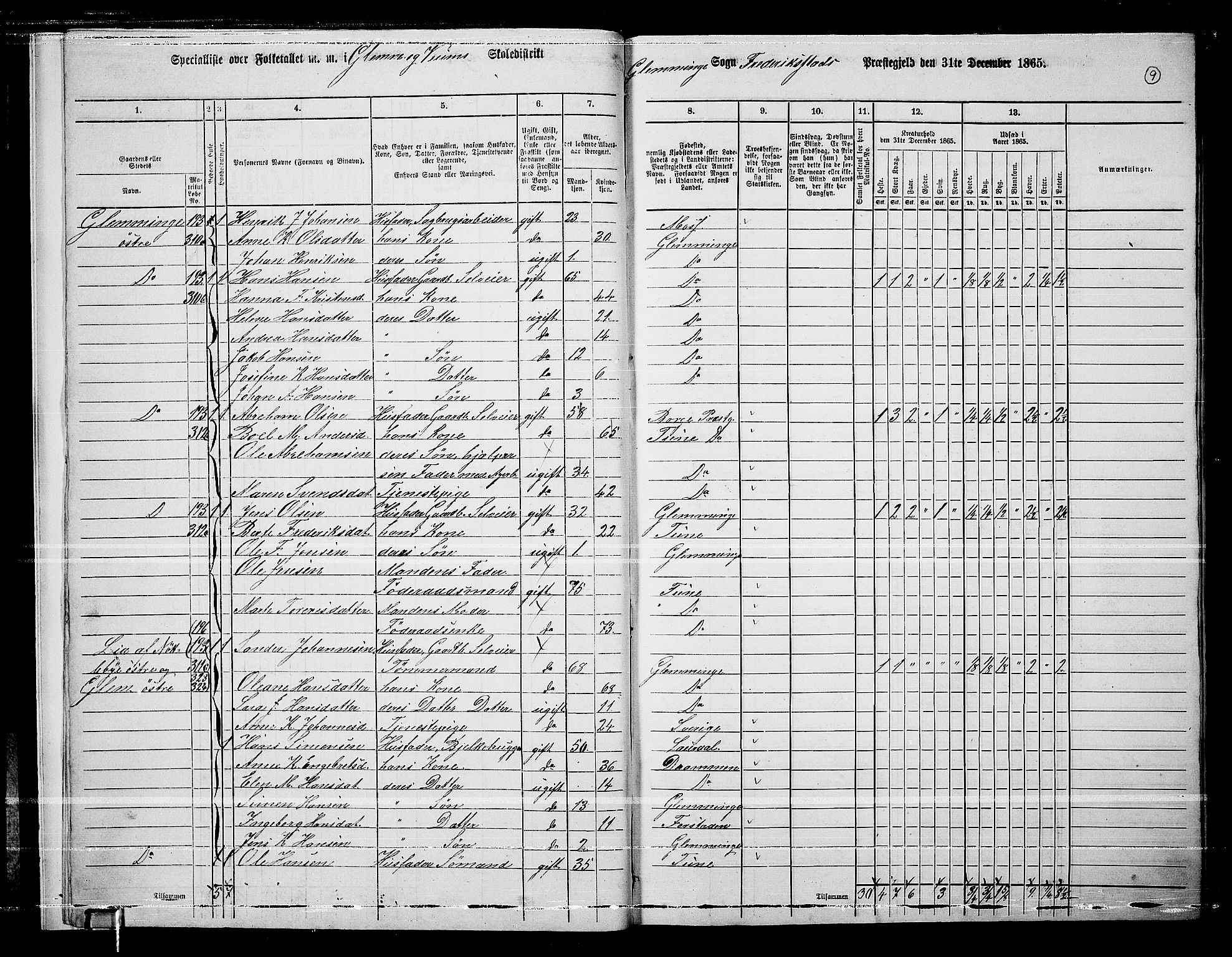 RA, Folketelling 1865 for 0132L Fredrikstad prestegjeld, Glemmen sokn, 1865, s. 11