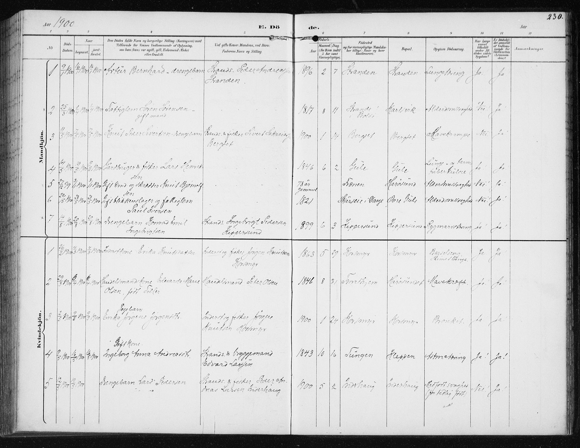 Ministerialprotokoller, klokkerbøker og fødselsregistre - Møre og Romsdal, SAT/A-1454/566/L0773: Klokkerbok nr. 566C02, 1892-1909, s. 230