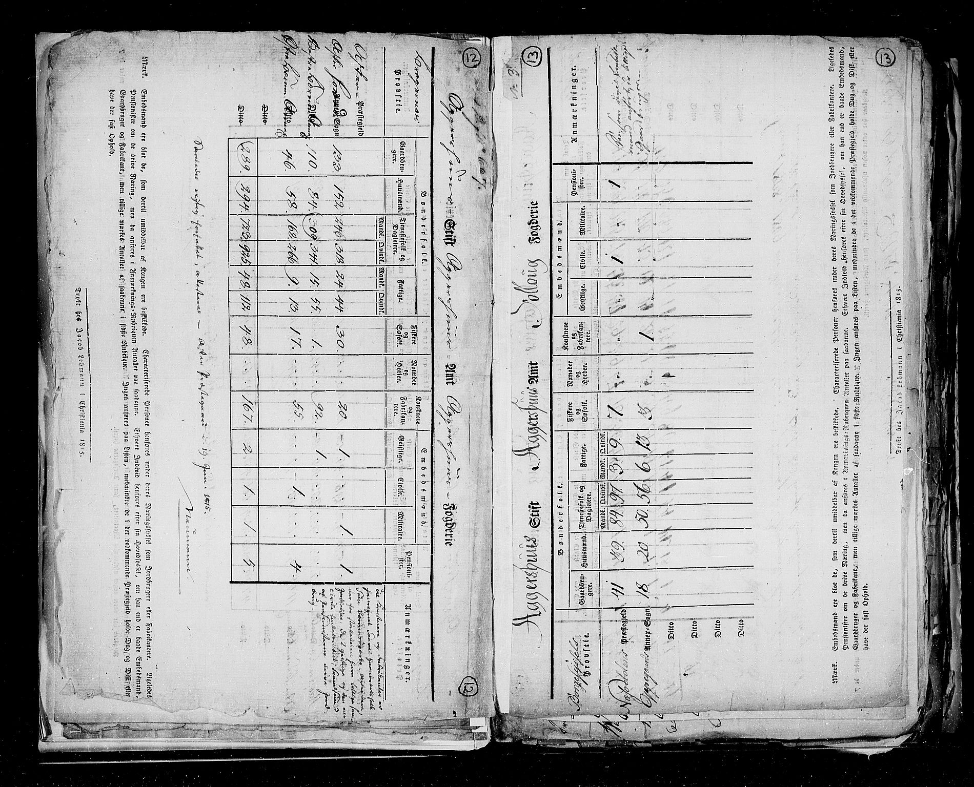 RA, Folketellingen 1815, bind 1: Akershus stift og Kristiansand stift, 1815, s. 13