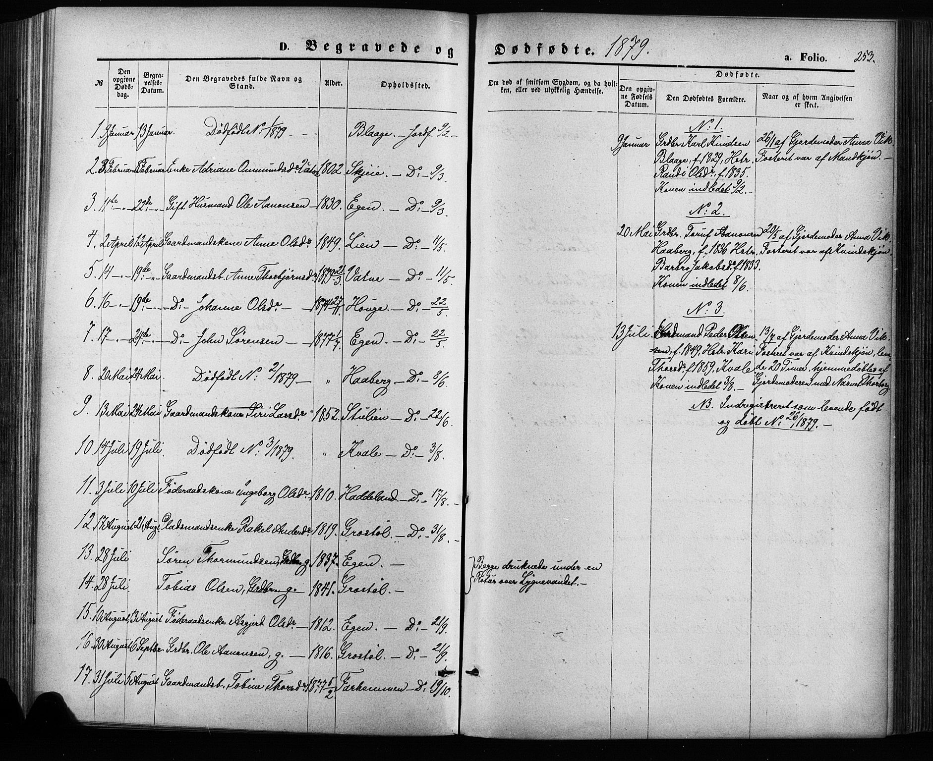Hægebostad sokneprestkontor, AV/SAK-1111-0024/F/Fa/Fab/L0003: Ministerialbok nr. A 3, 1872-1886, s. 253