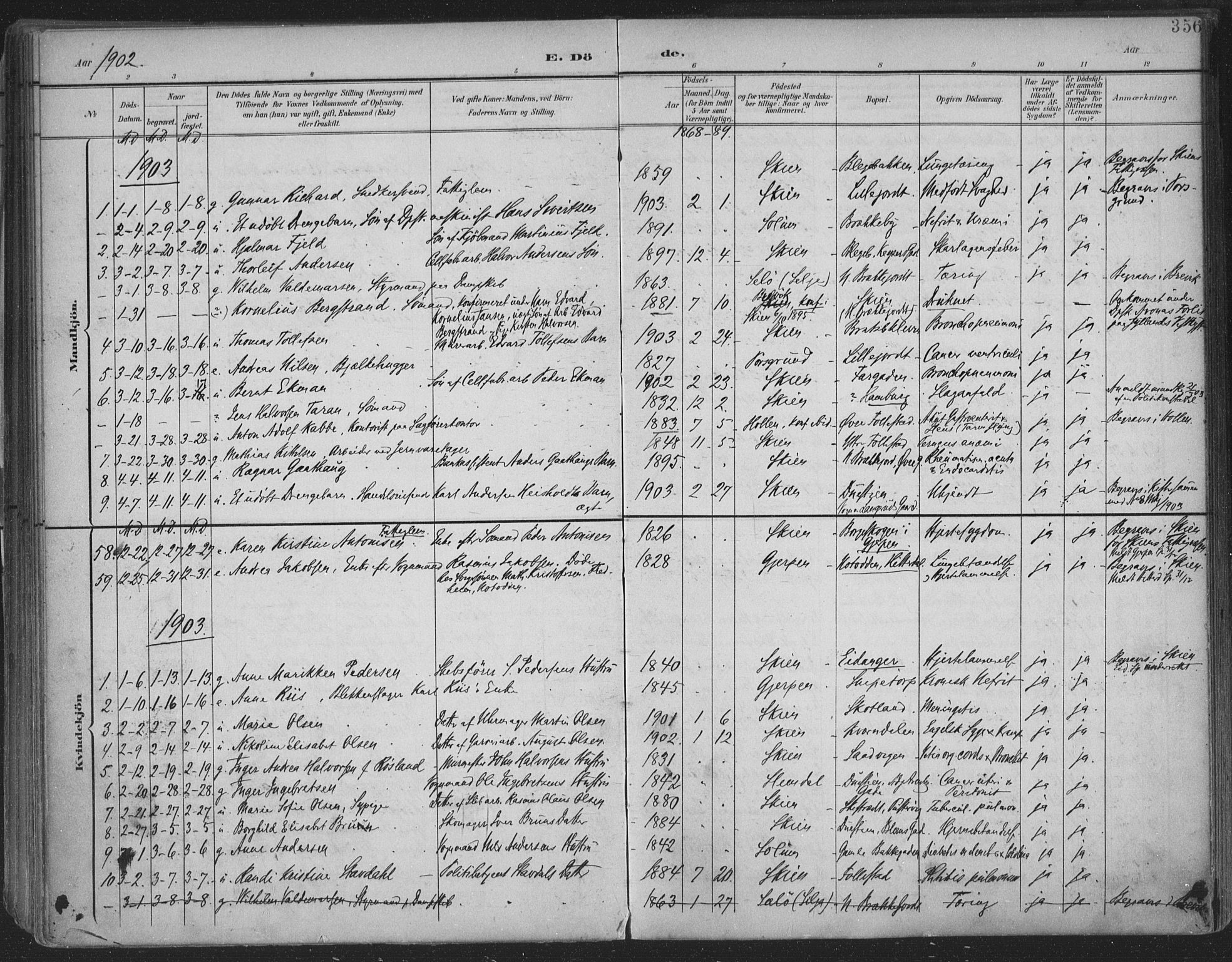 Skien kirkebøker, AV/SAKO-A-302/F/Fa/L0011: Ministerialbok nr. 11, 1900-1907, s. 356